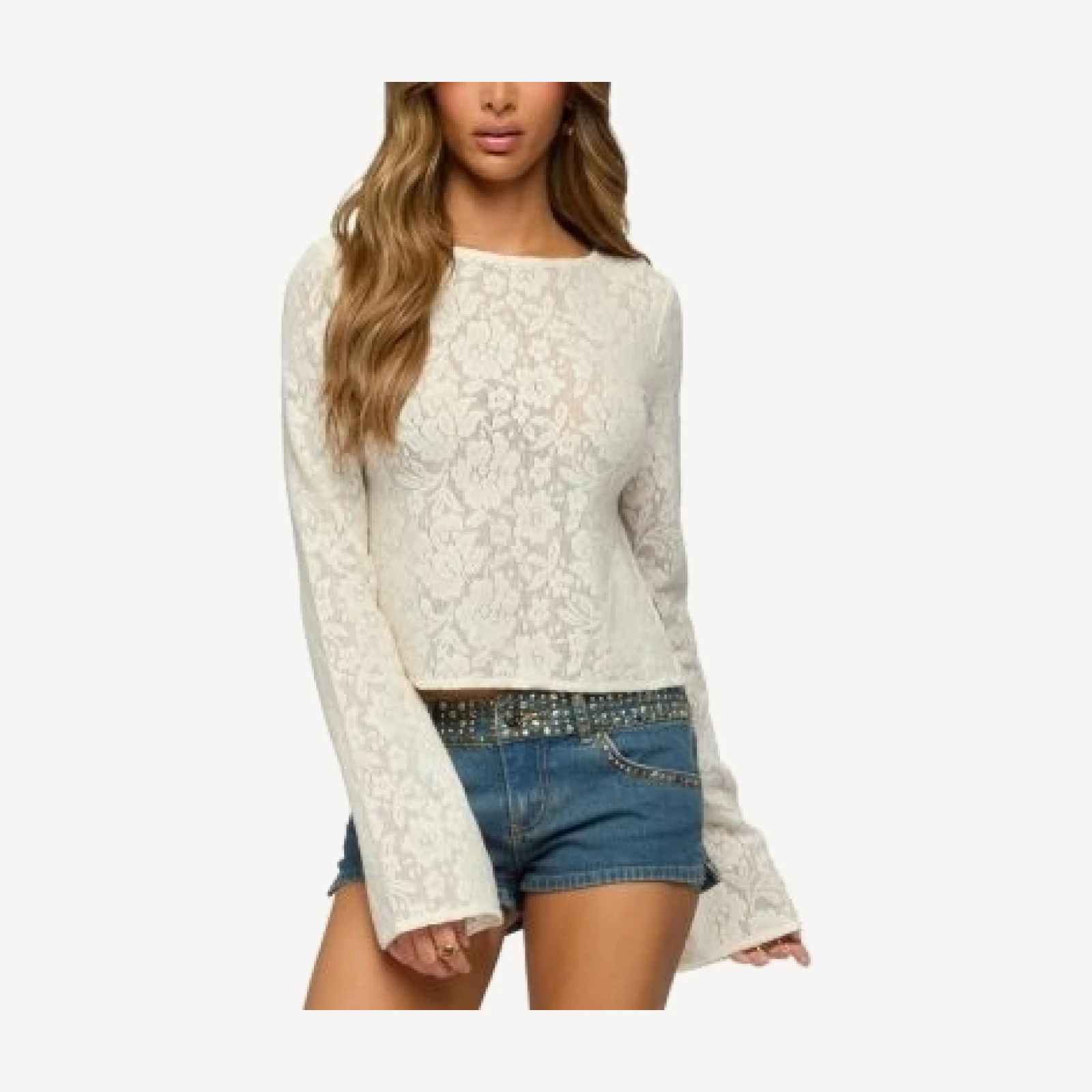 Edikted Flaura Backless Sheer Lace Top