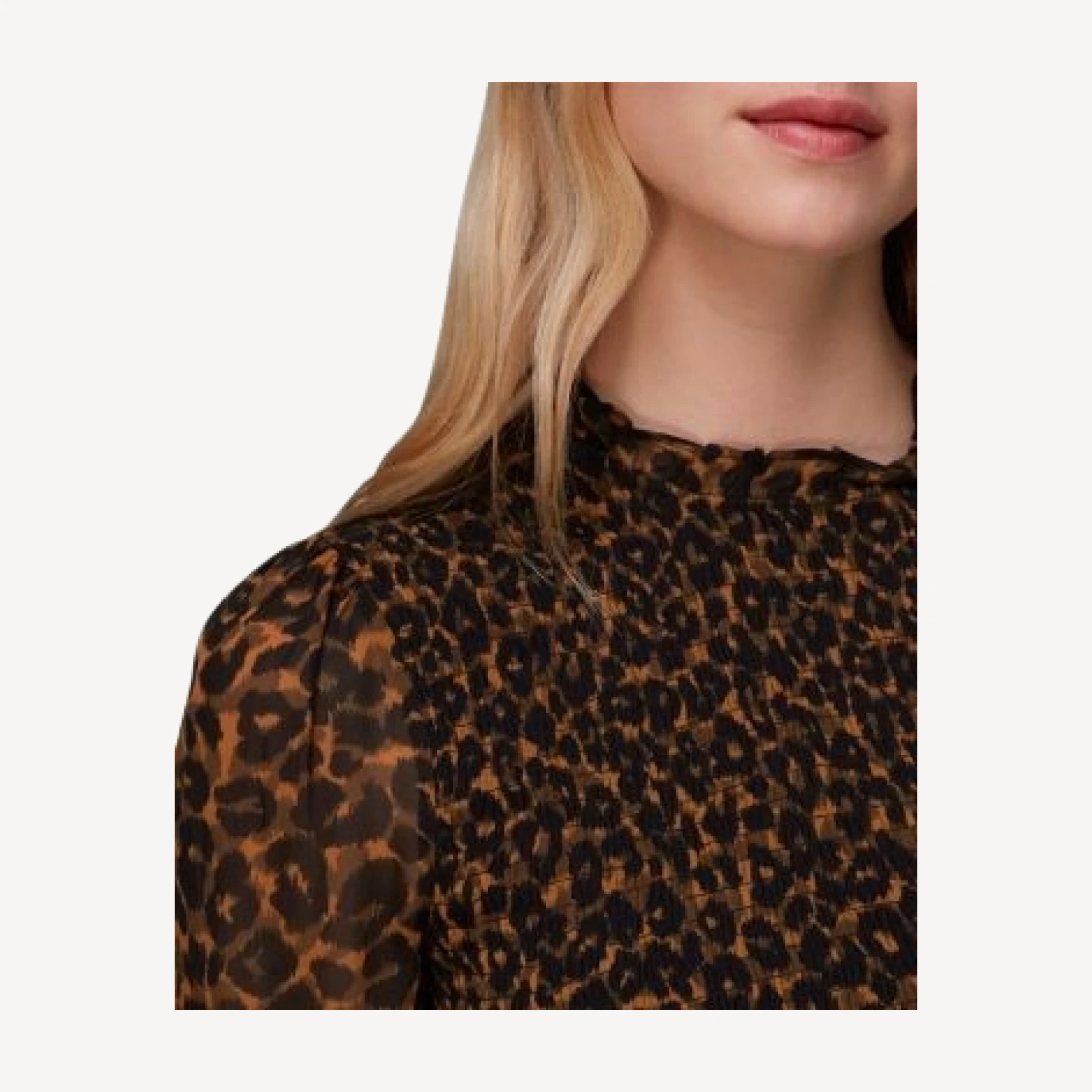 Whistles Shirred Leopard Print Dress