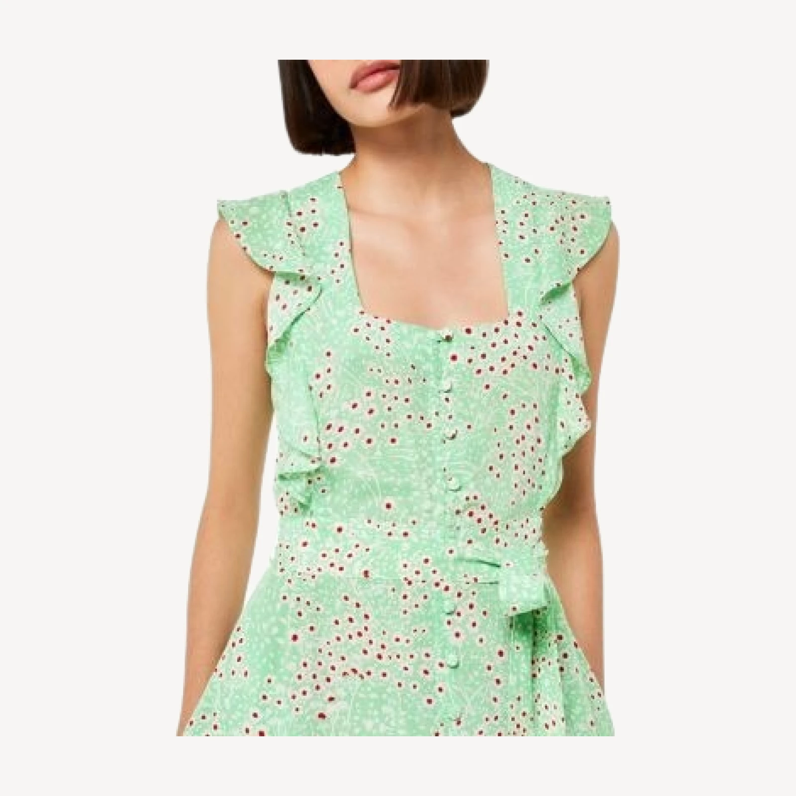 Whistles Sophie Daisy Meadow Midi Dress