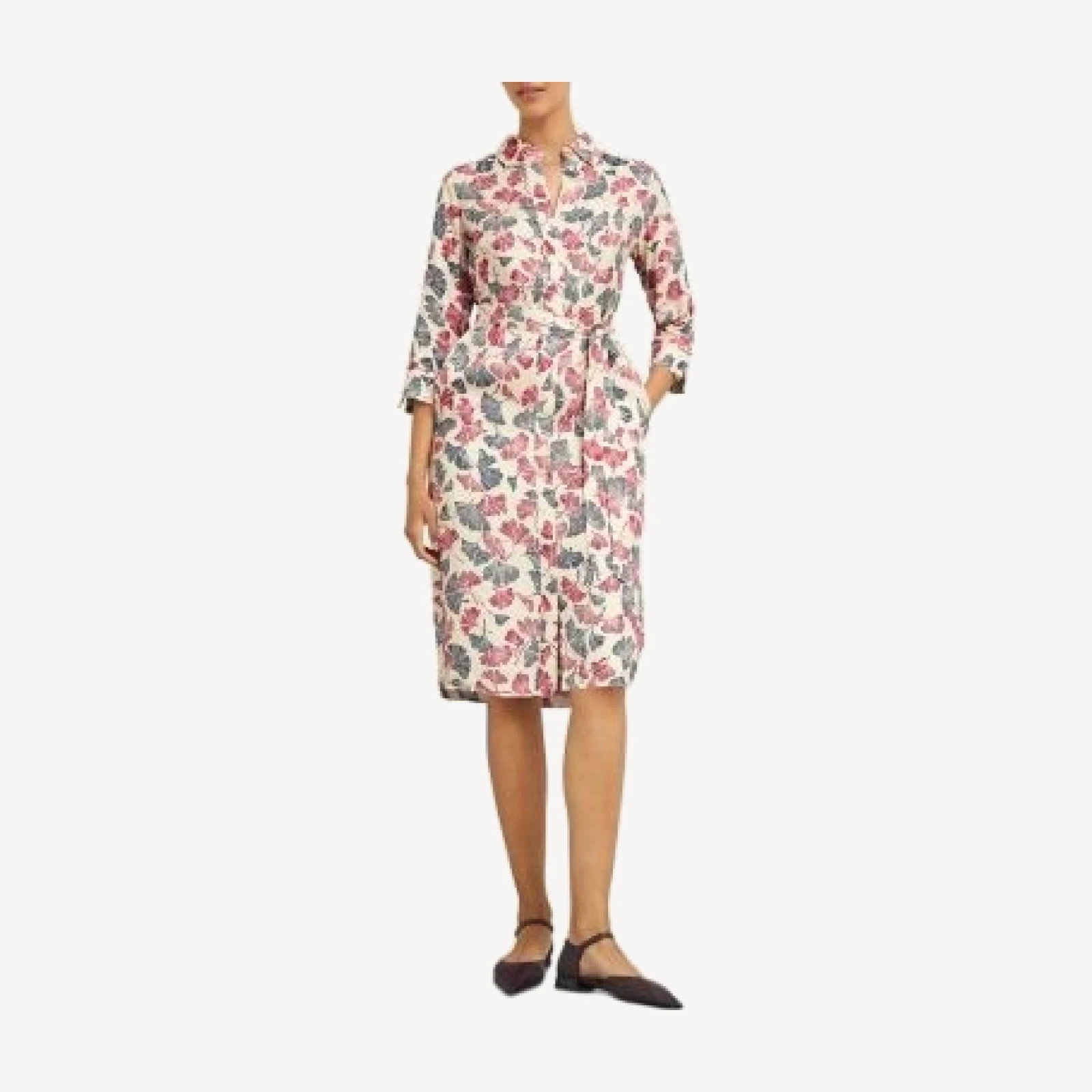 Hobbs London Francis Printed Shirtdress