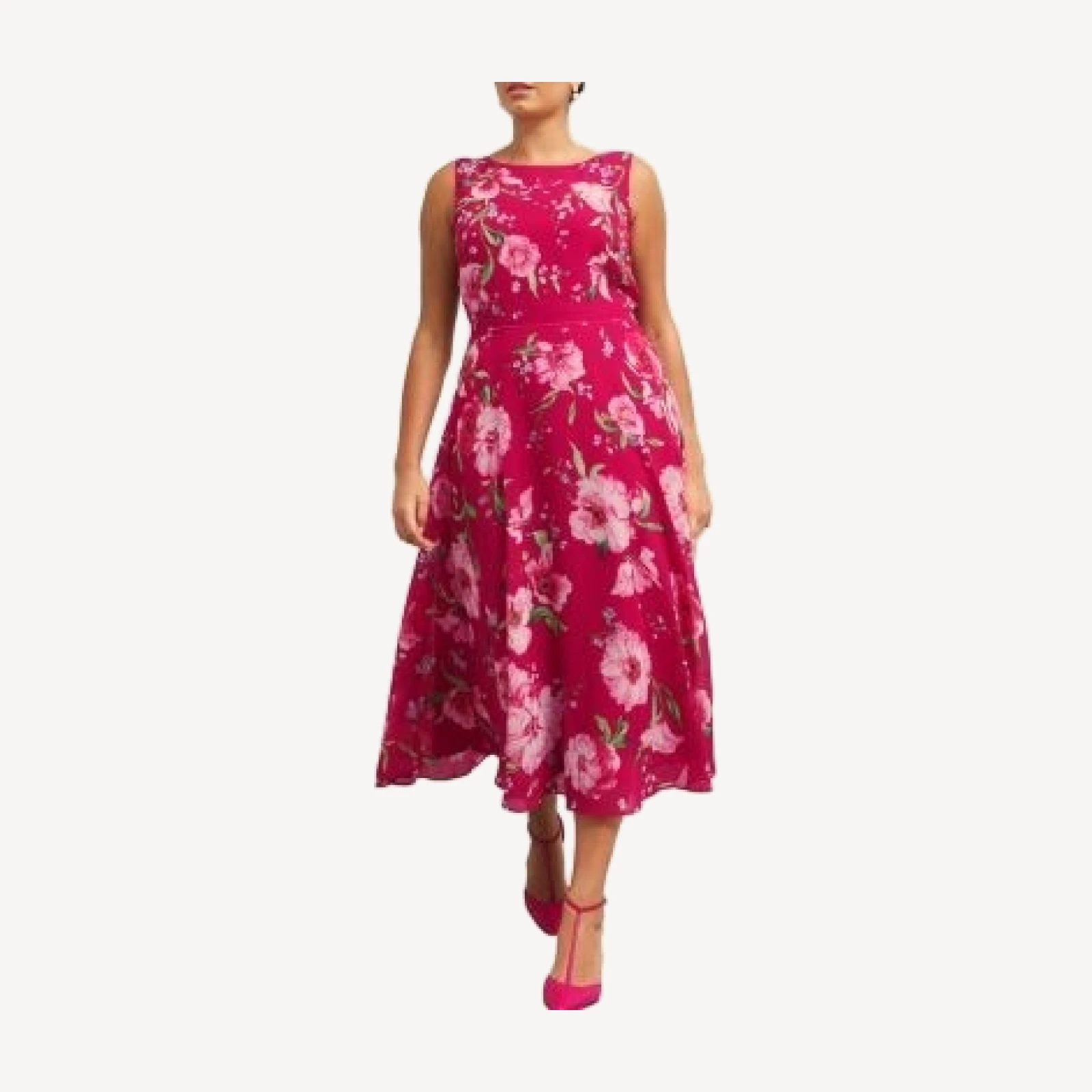 Hobbs London Carly Floral Print Dress