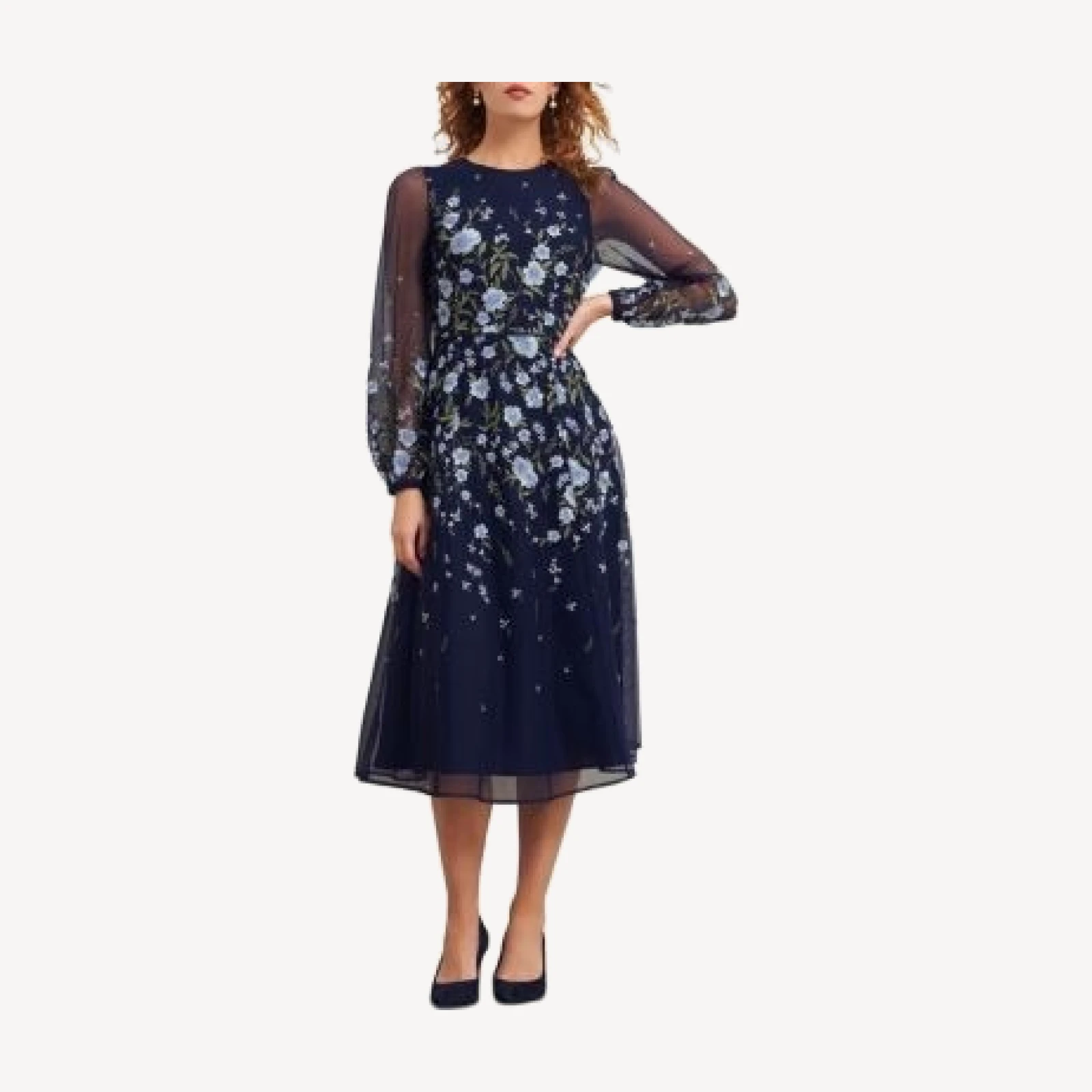 Hobbs London Lois Embroidered Midi Dress