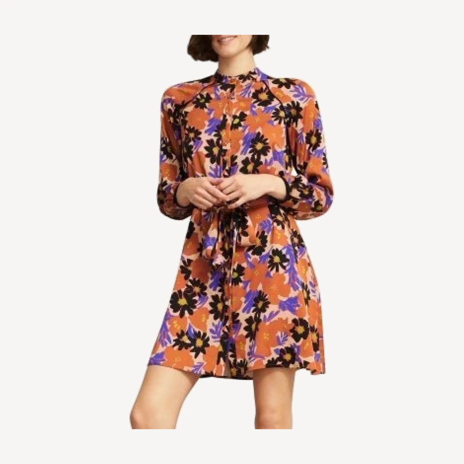 Hobbs London Coworth Floral Print Dress