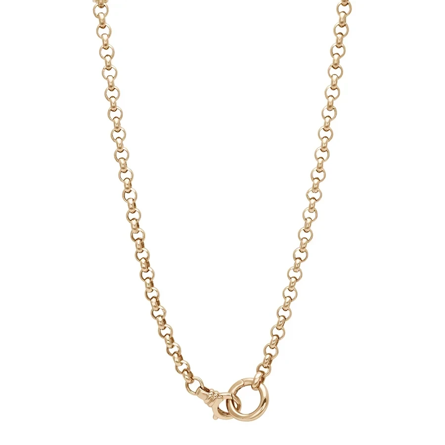 Rolo Chain Charm Necklace - 14k Yellow Gold