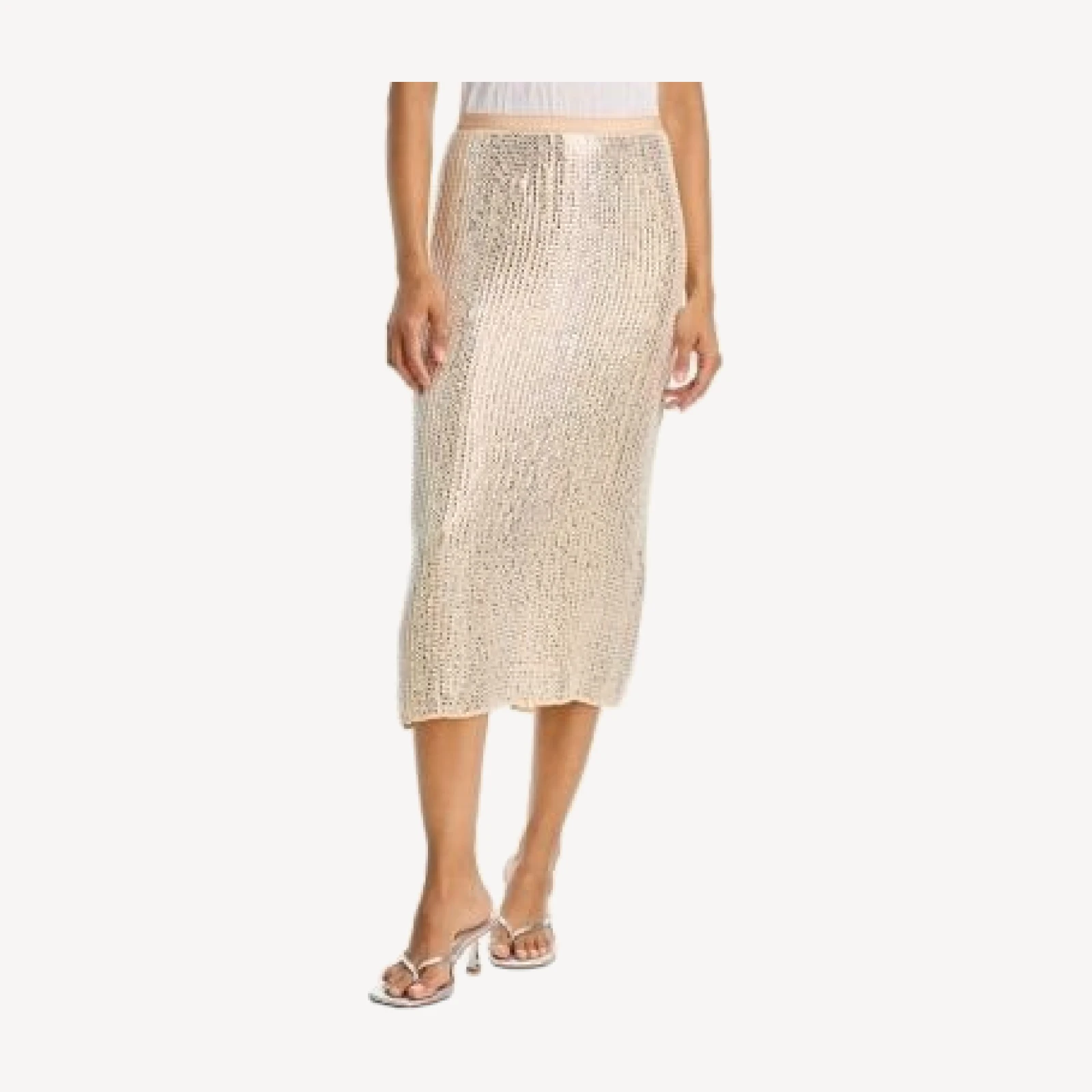 rag & bone Lili Beaded Midi Skirt