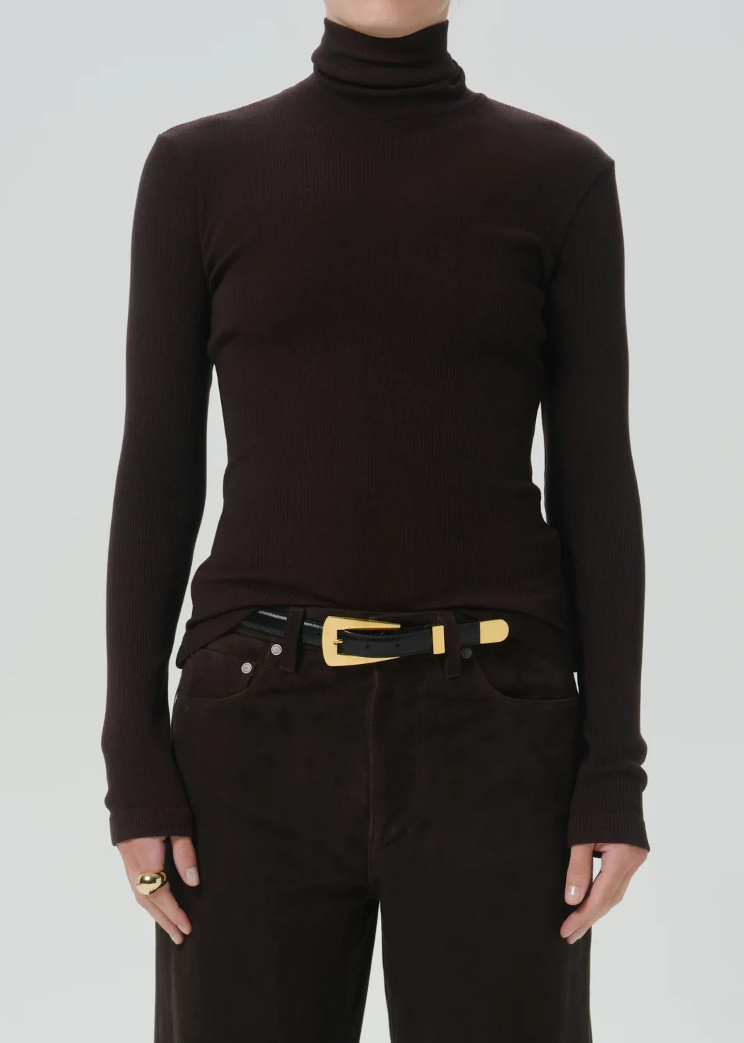 Caradene Turtleneck in Chocolate