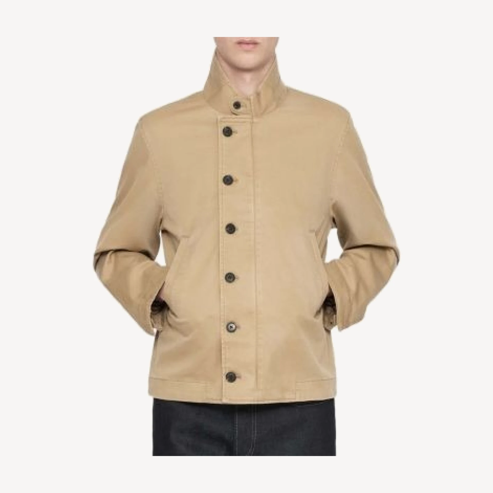 Allsaints Enfield Cotton Blend Stand Collar Jacket
