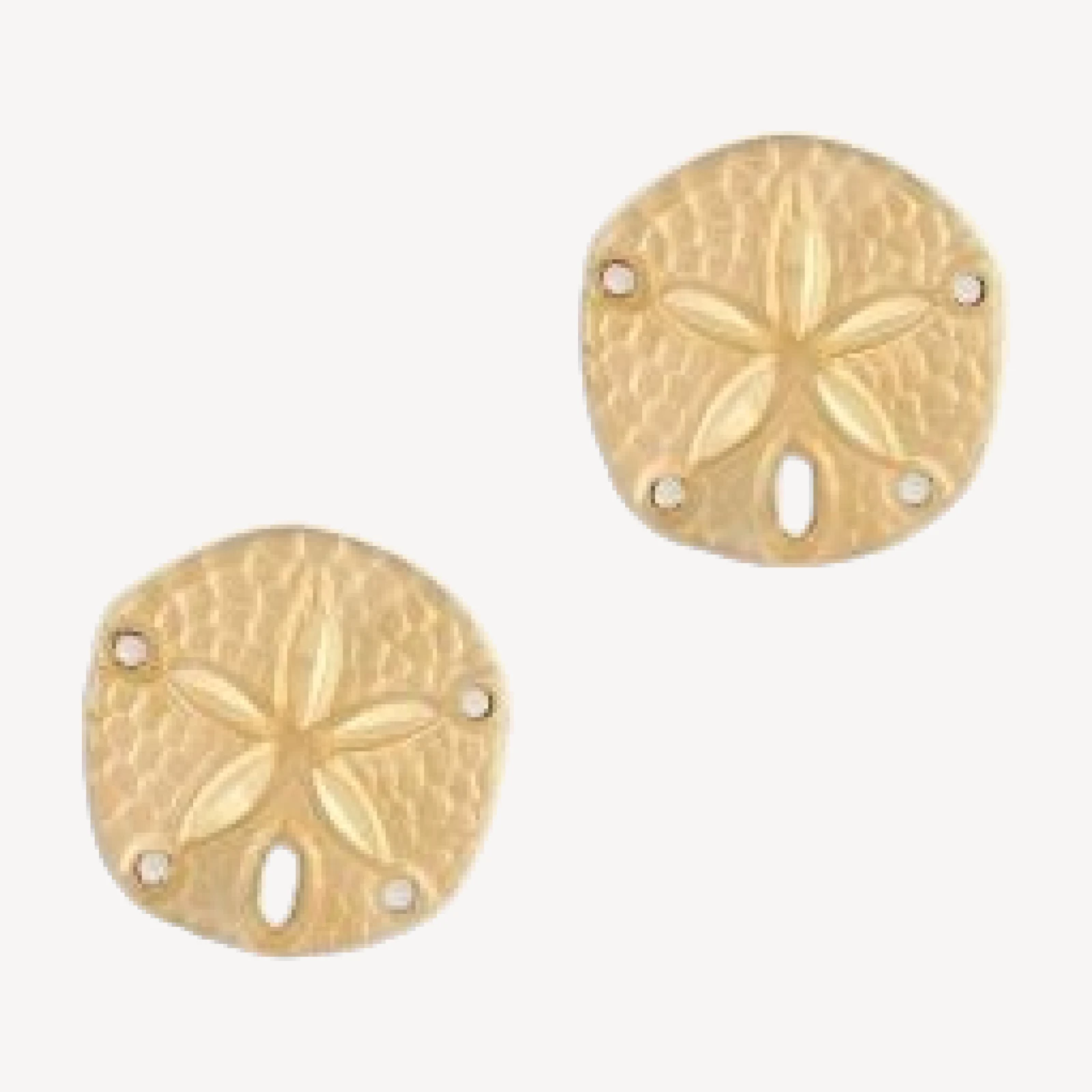 Bloomingdale's Fine Collection Sand Dollar Stud Earrings in 14K Yellow Gold