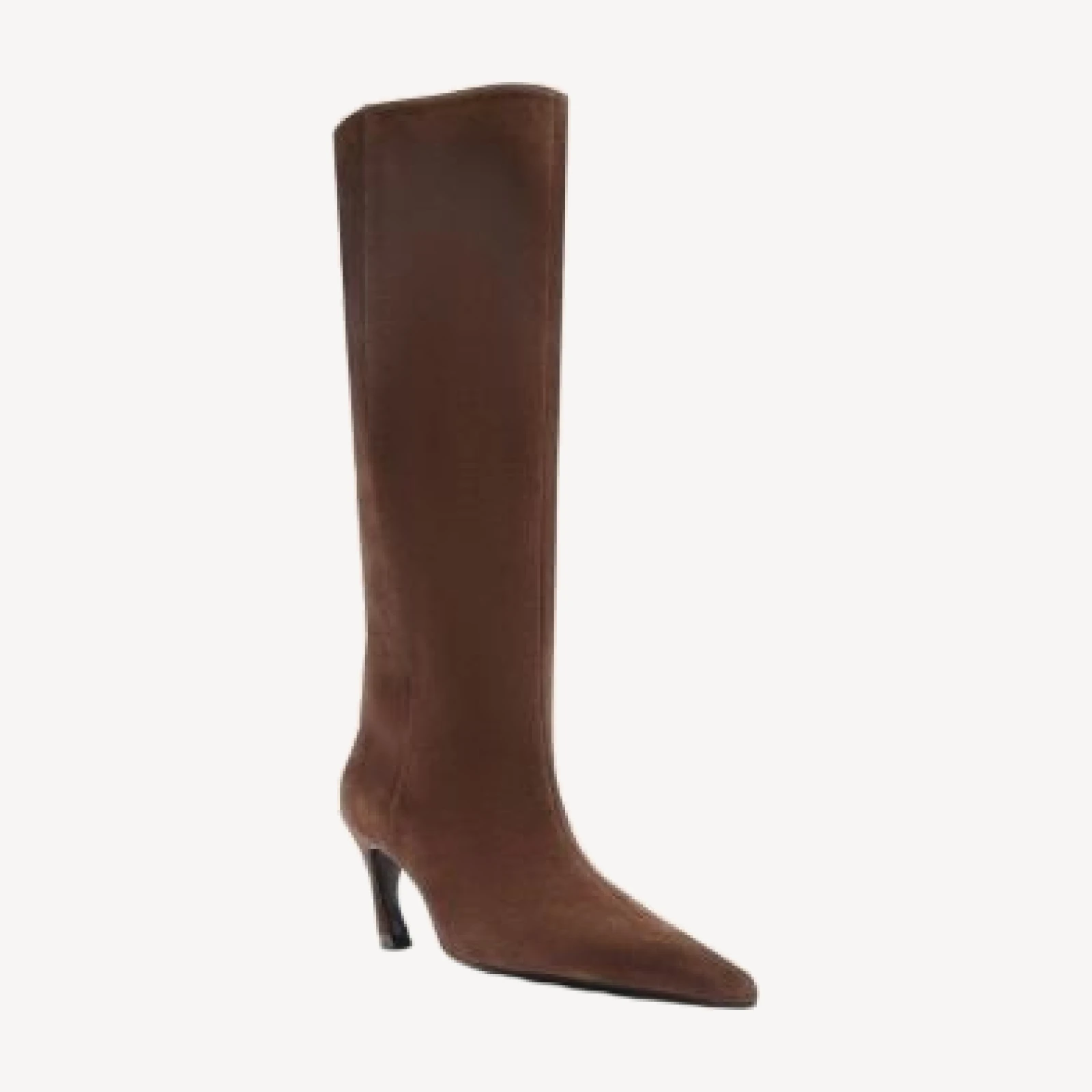 Schutz Women's Lexi Suede Pointed Toe Boots