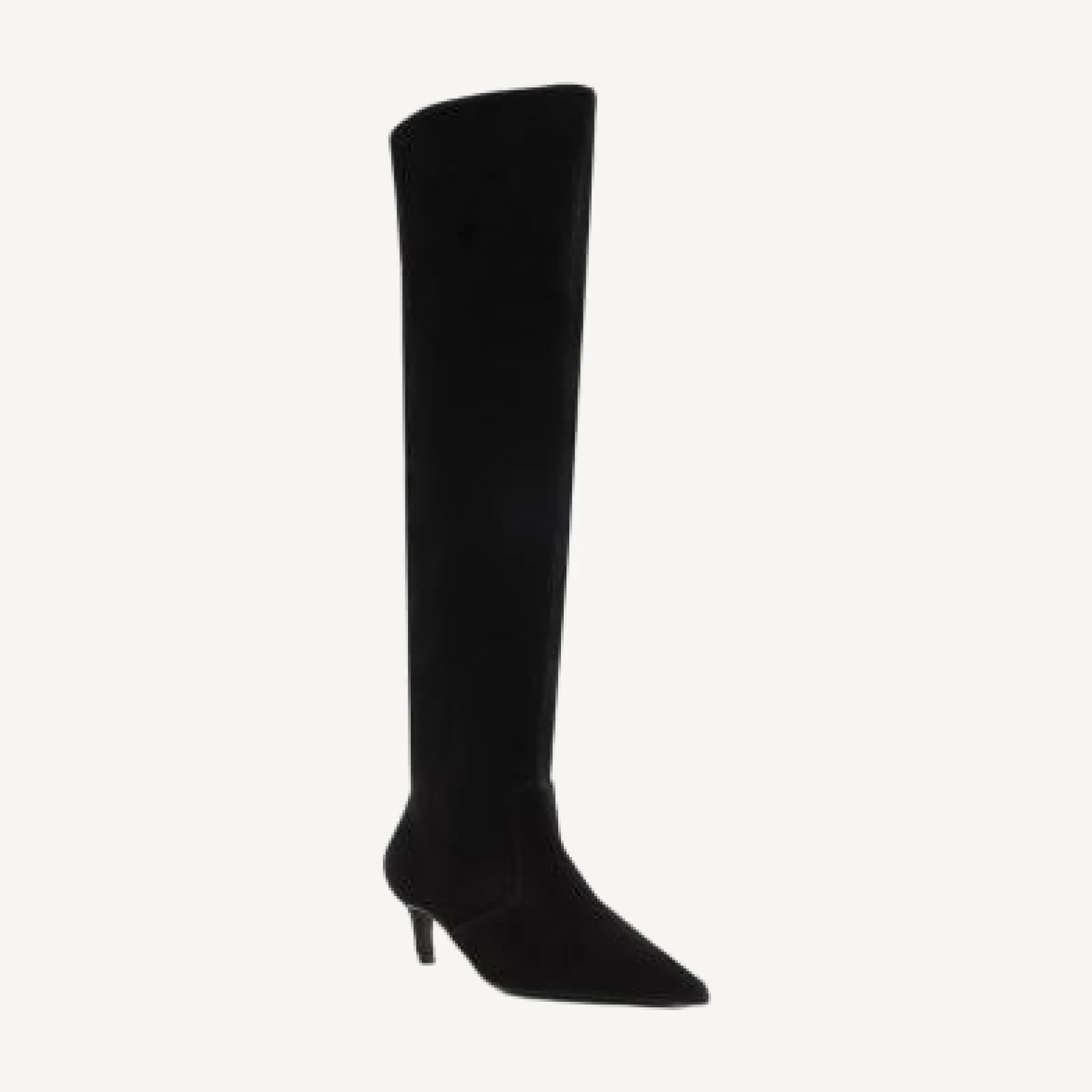 Schutz Women's Odessa Suede Over-the-Knee Boots
