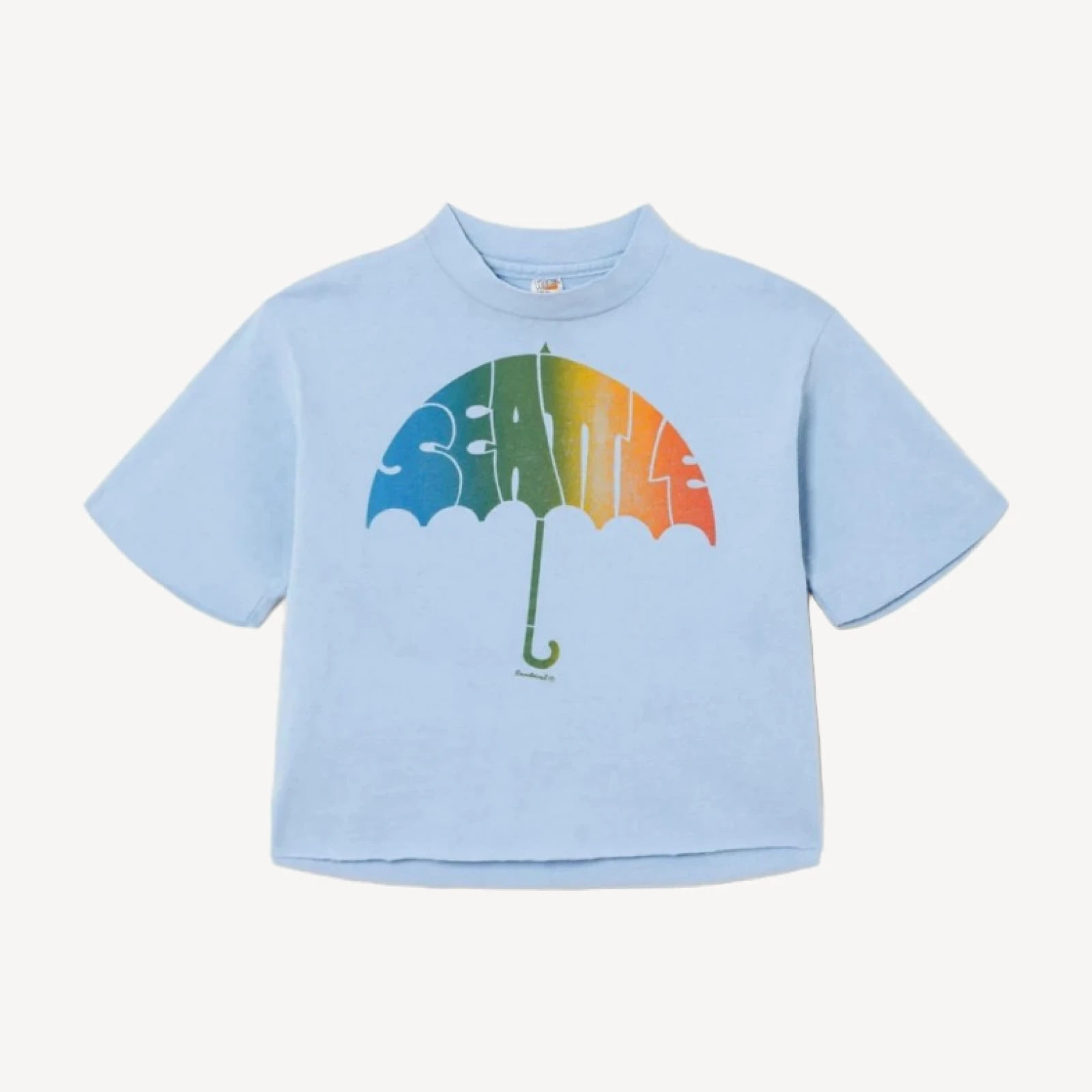 RE/DONE Vintage | 70s Hanes Seattle Crop Tee
