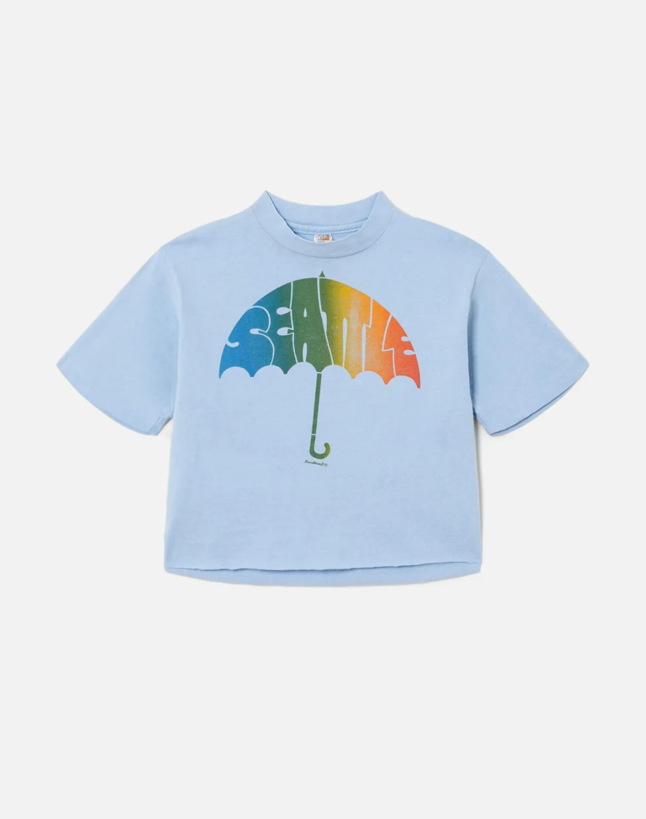 RE/DONE Vintage | 70s Hanes Seattle Crop Tee