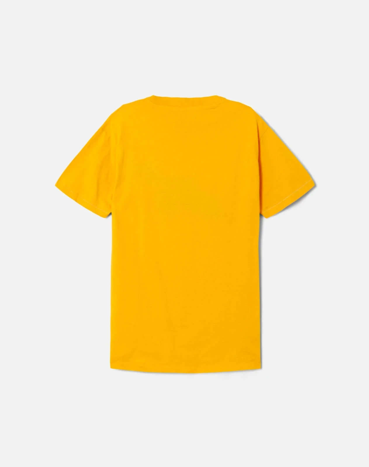 70s Hanes Lake Placid Tee
