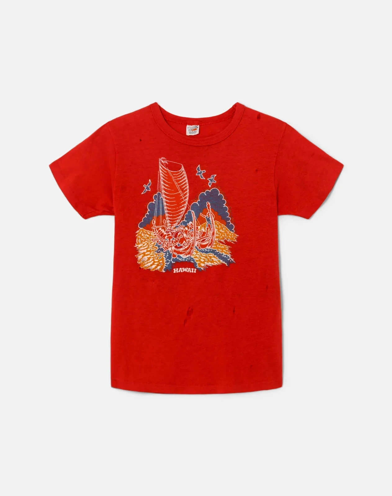 RE/DONE Vintage | 70s Hanes Hawaii Tee
