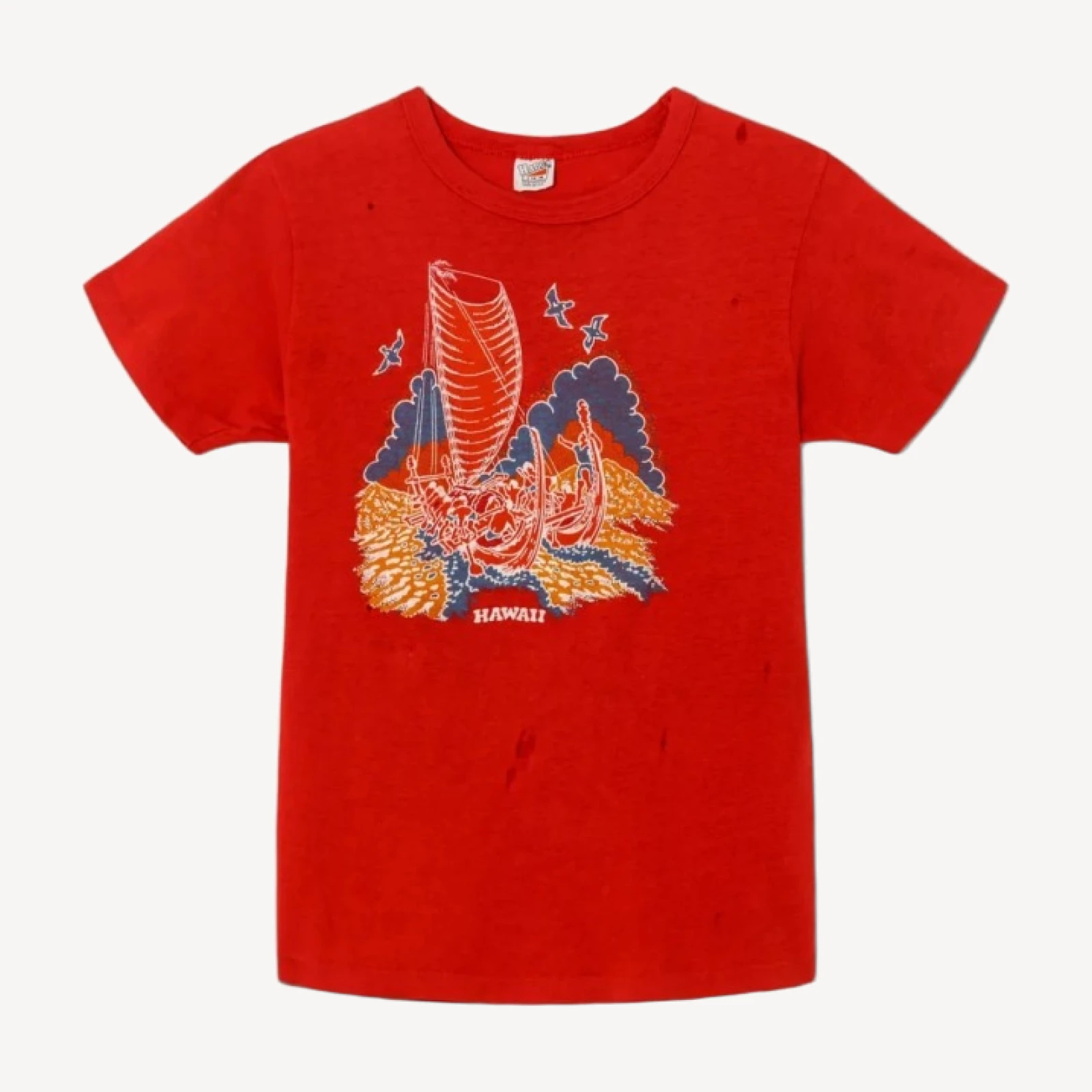 RE/DONE Vintage | 70s Hanes Hawaii Tee