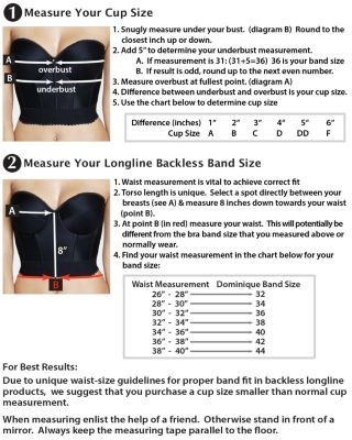 Dominique Intimates V Wire Bustier