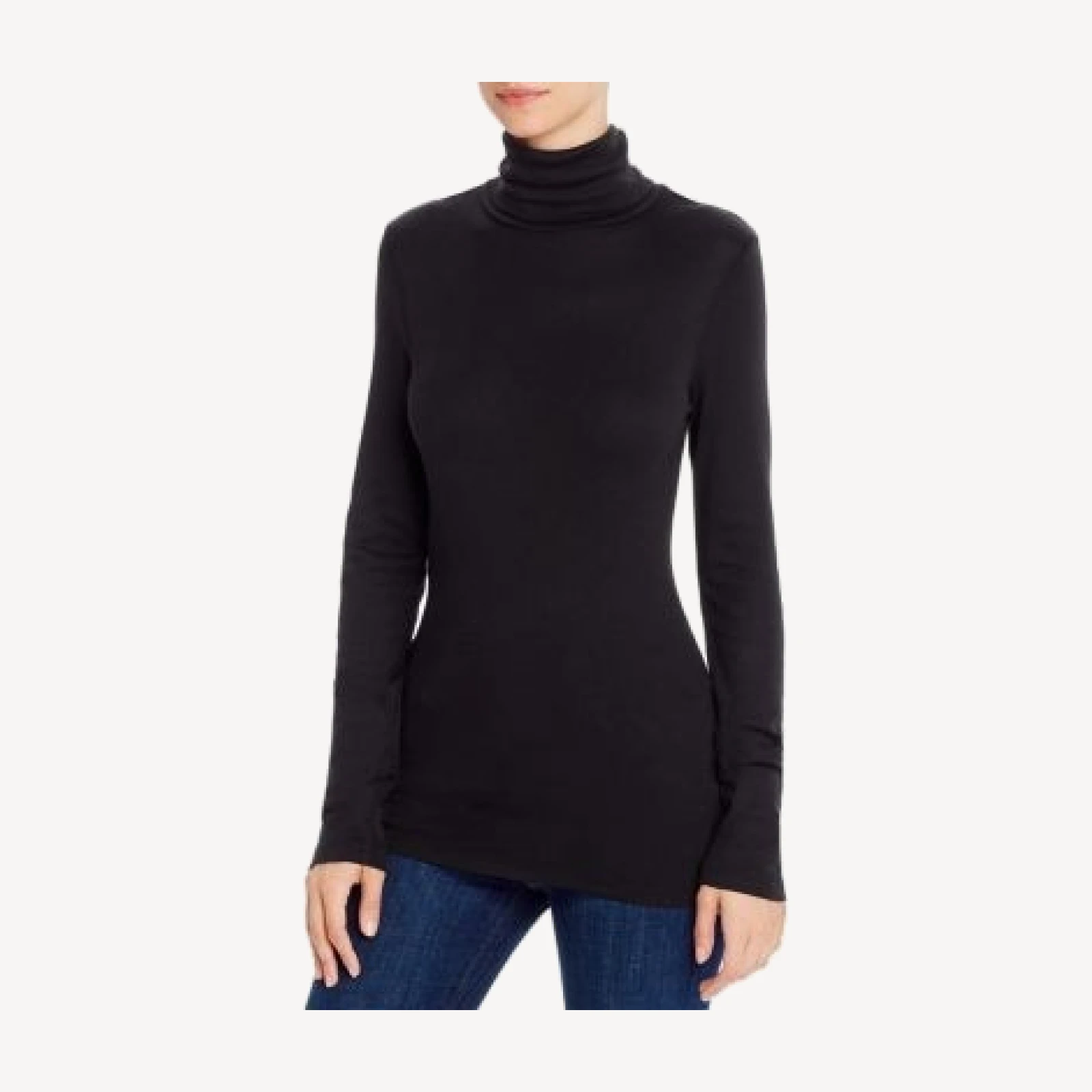Splendid 1x1 Turtleneck Top