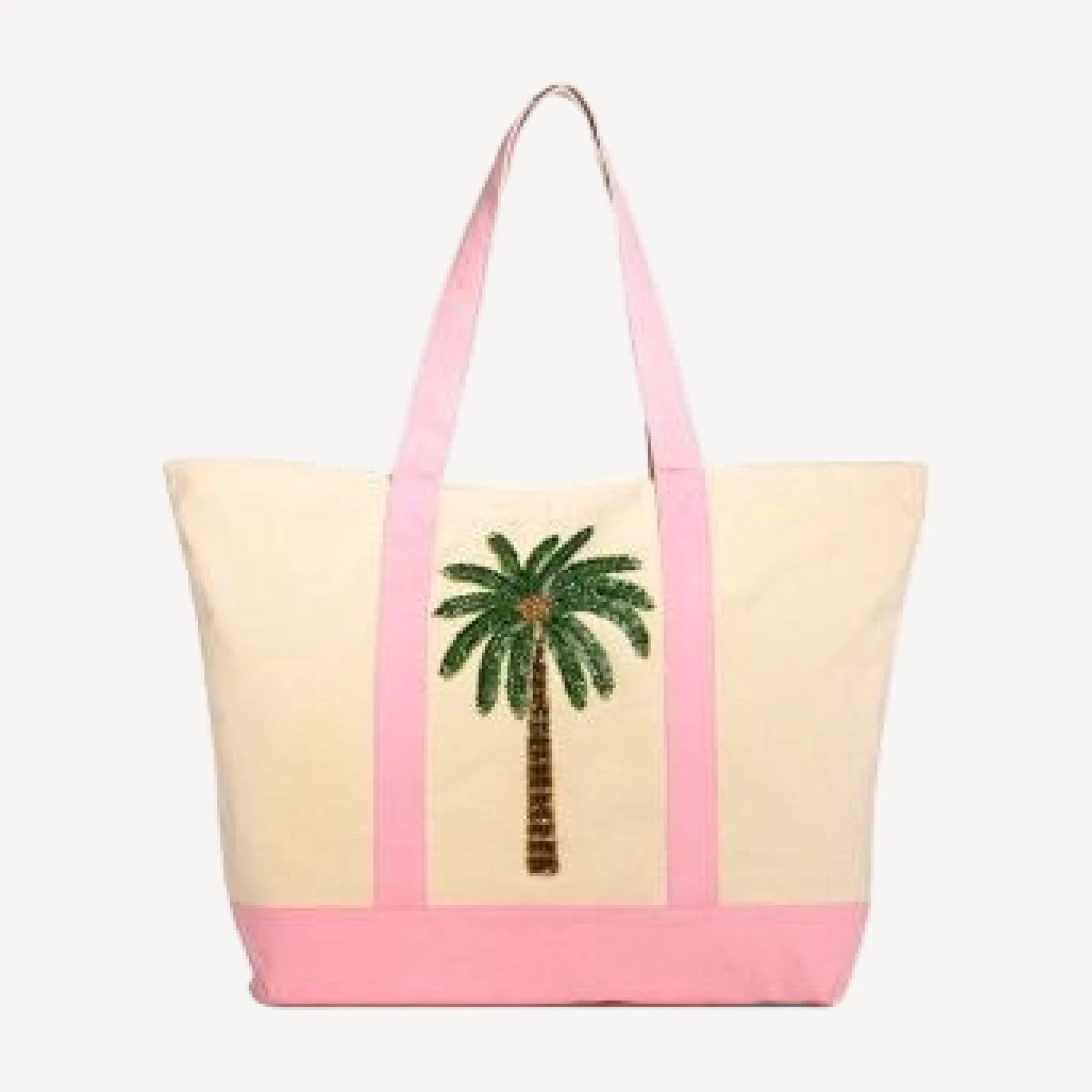 Aqua Large Canvas Tote