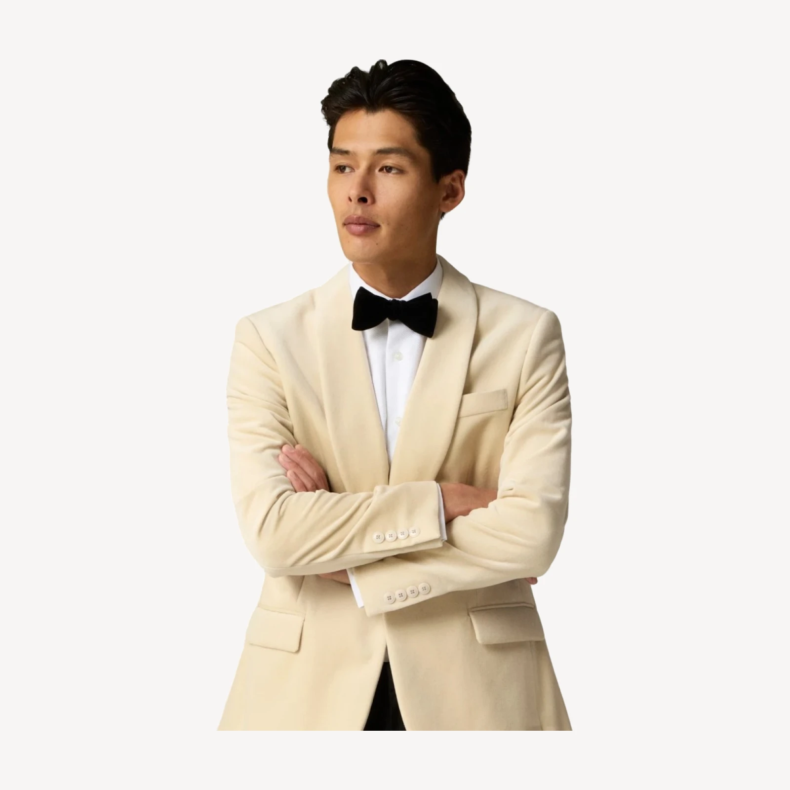 Velvet bow tie