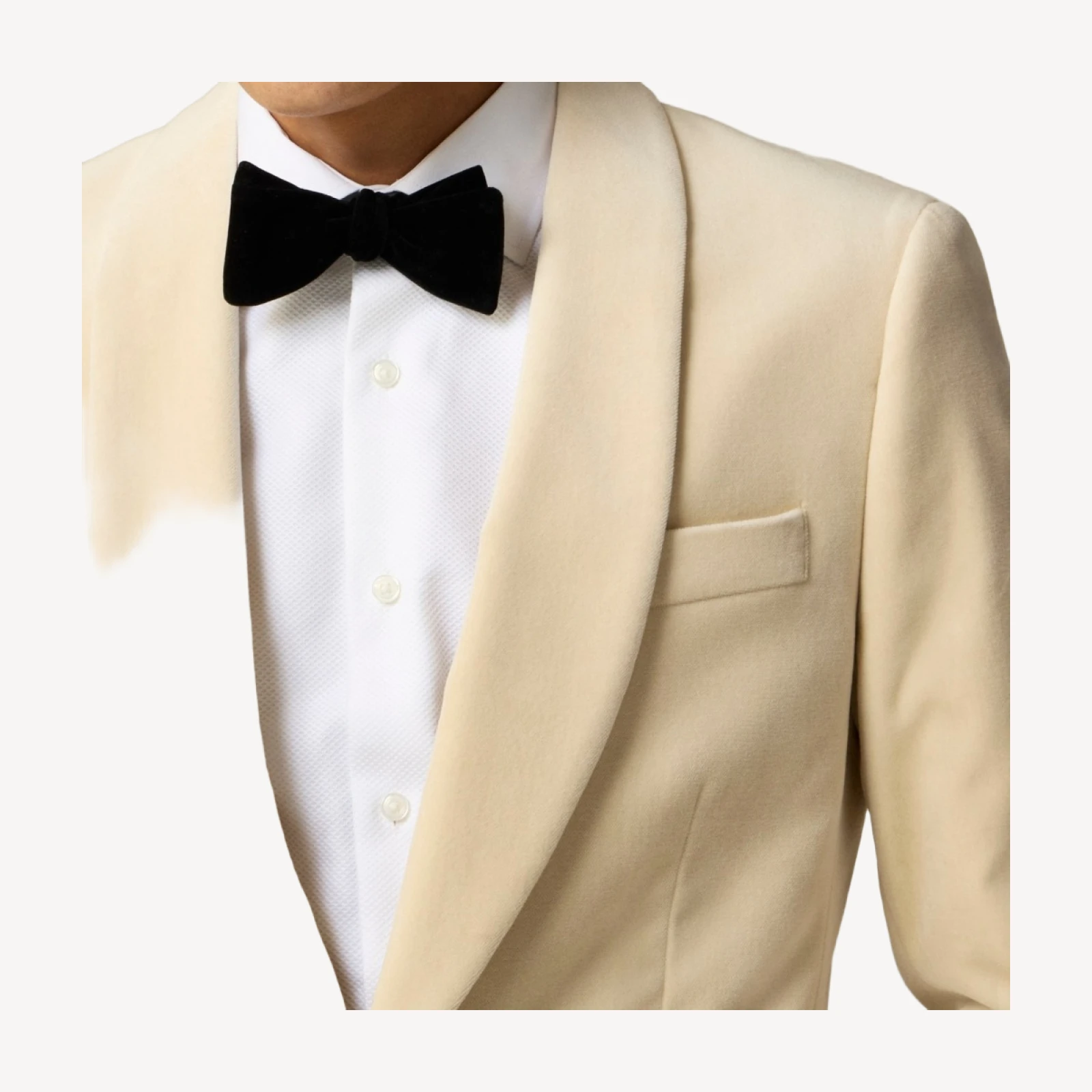Velvet bow tie
