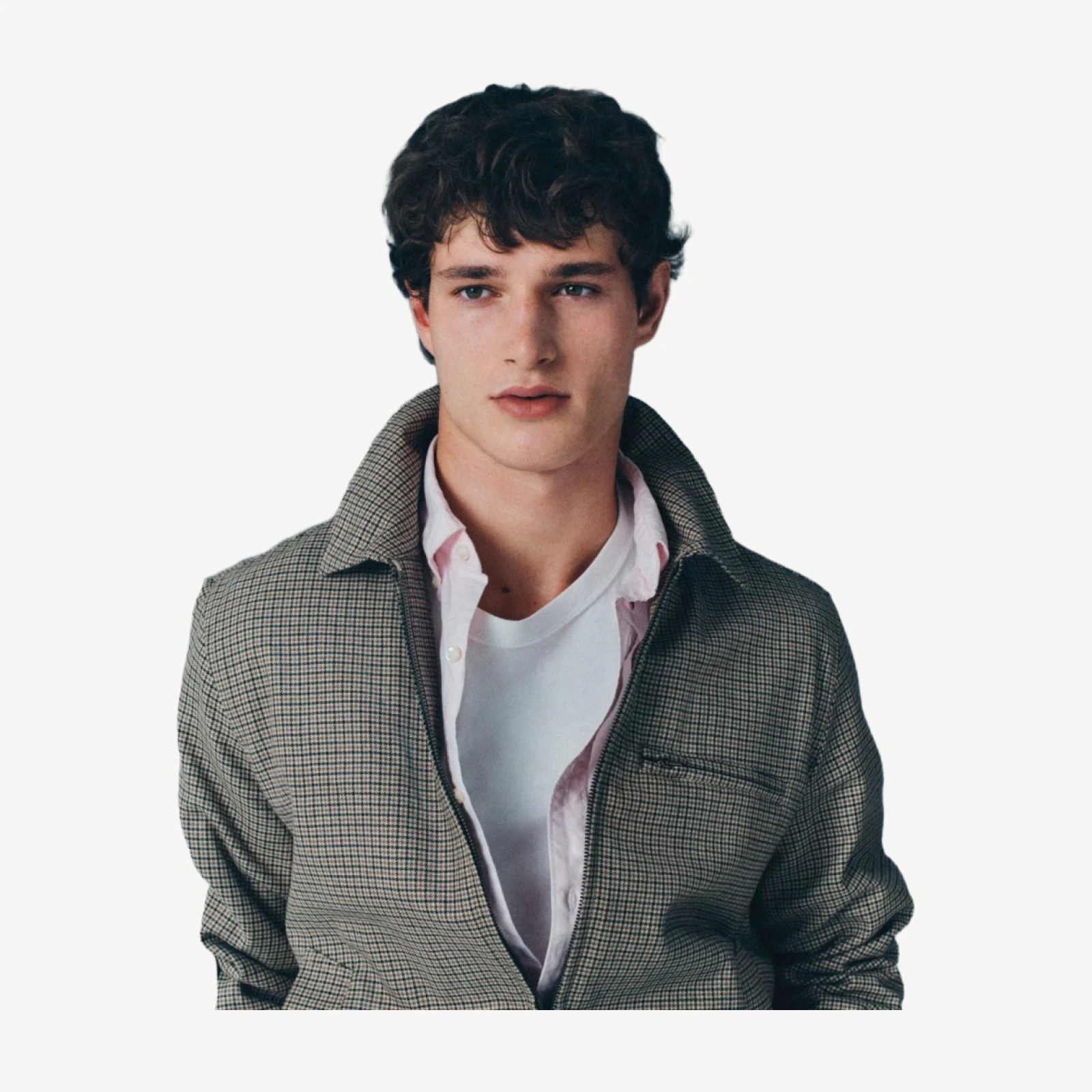 Harrington jacket in houndstooth cotton-wool blend