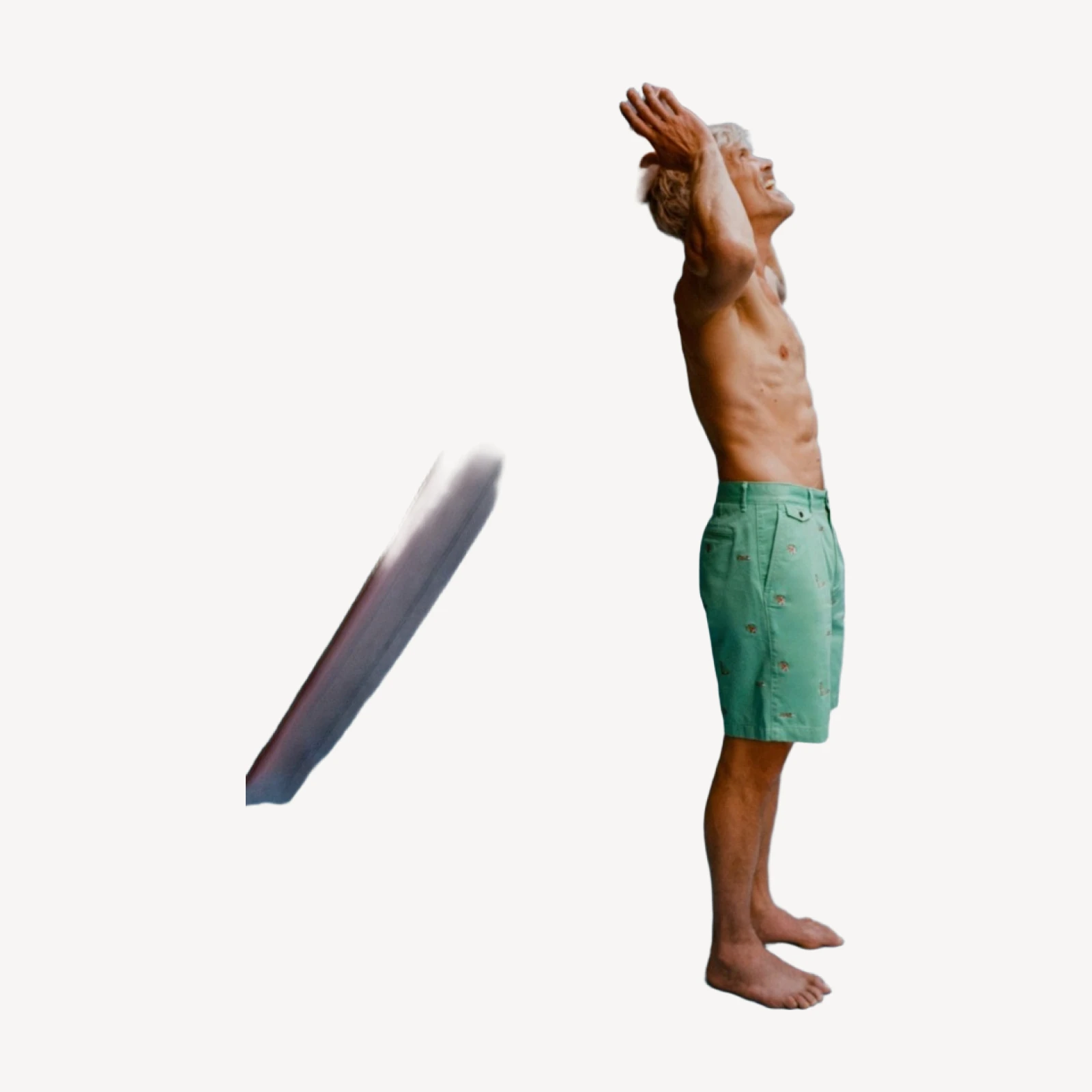 BEAMS PLUS X J.Crew 8.5'' pleated chino short with surfer embroidery