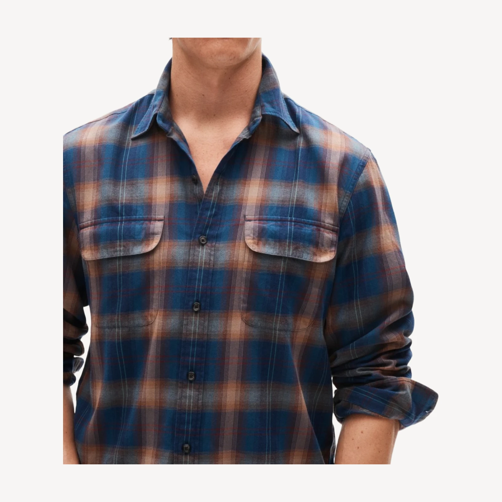 Wallace & Barnes brushed twill workshirt