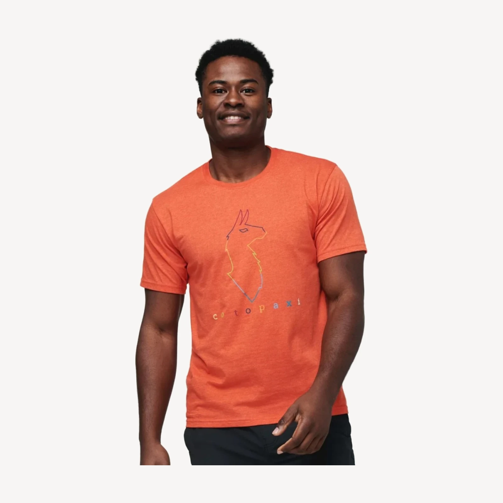Electric Llama T-Shirt - Men's