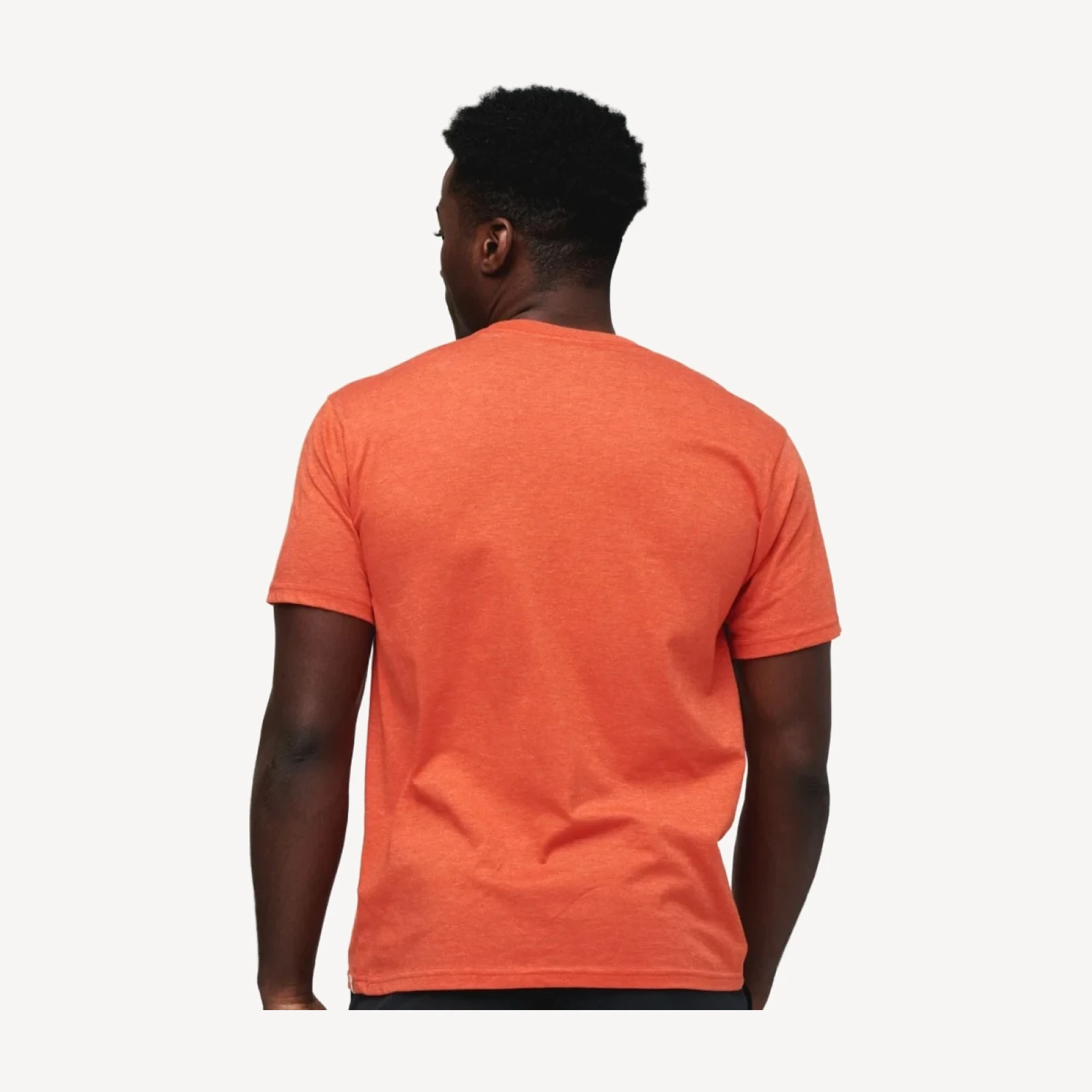 Electric Llama T-Shirt - Men's