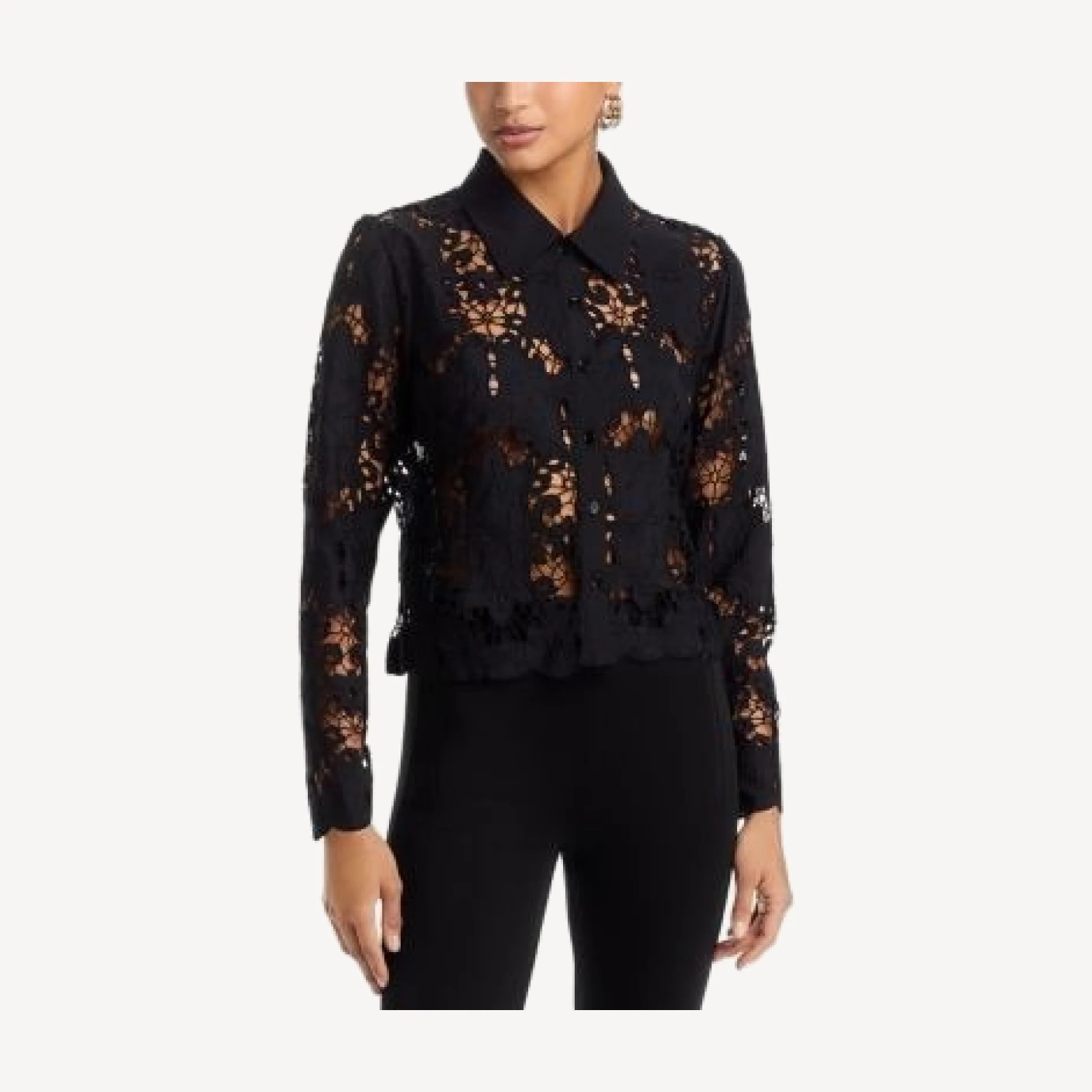 Aqua Lace Crop Long Sleeve Blouse - Exclusive