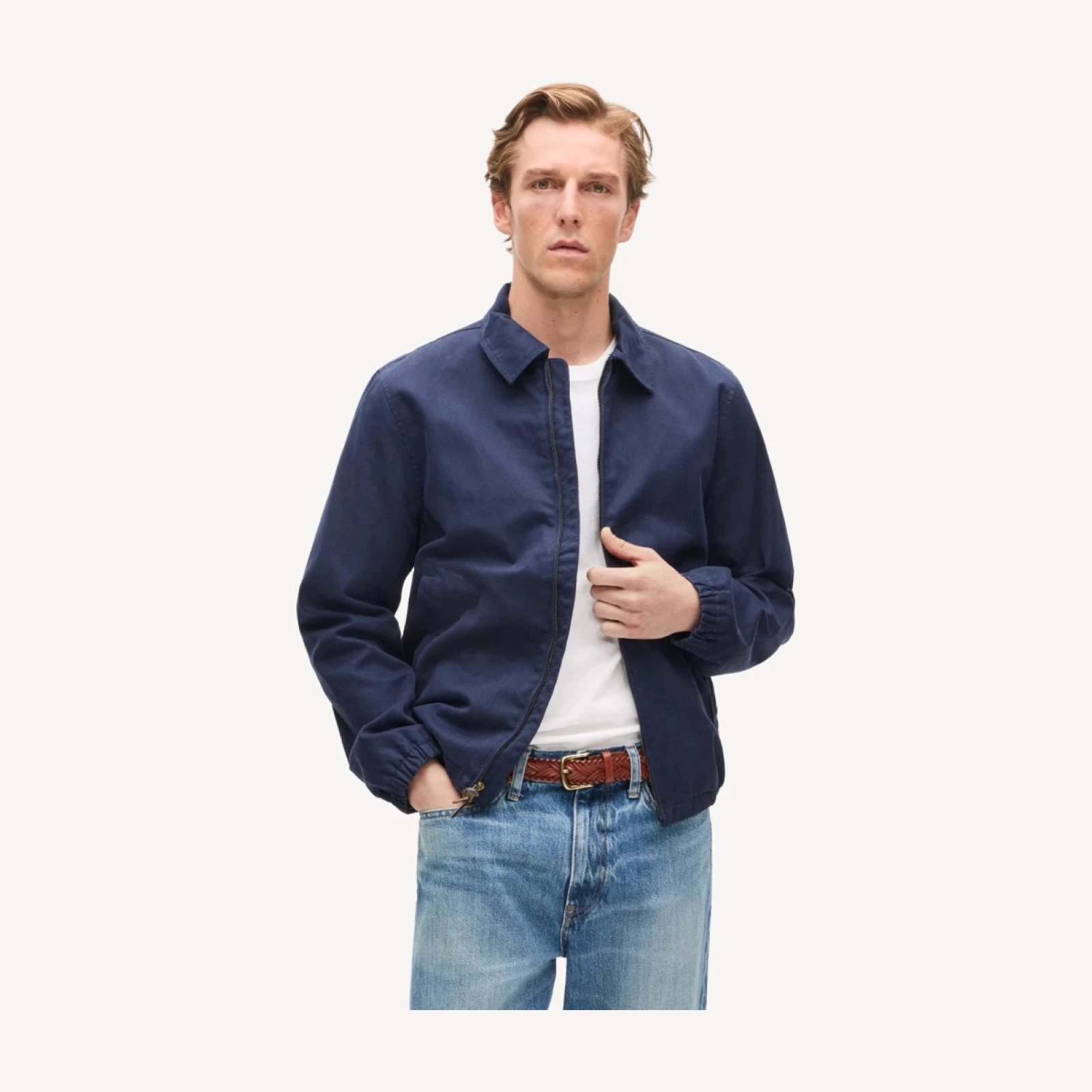 Harrington jacket in cotton twill