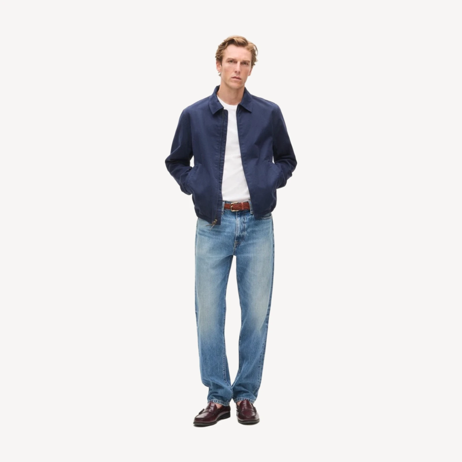 Harrington jacket in cotton twill