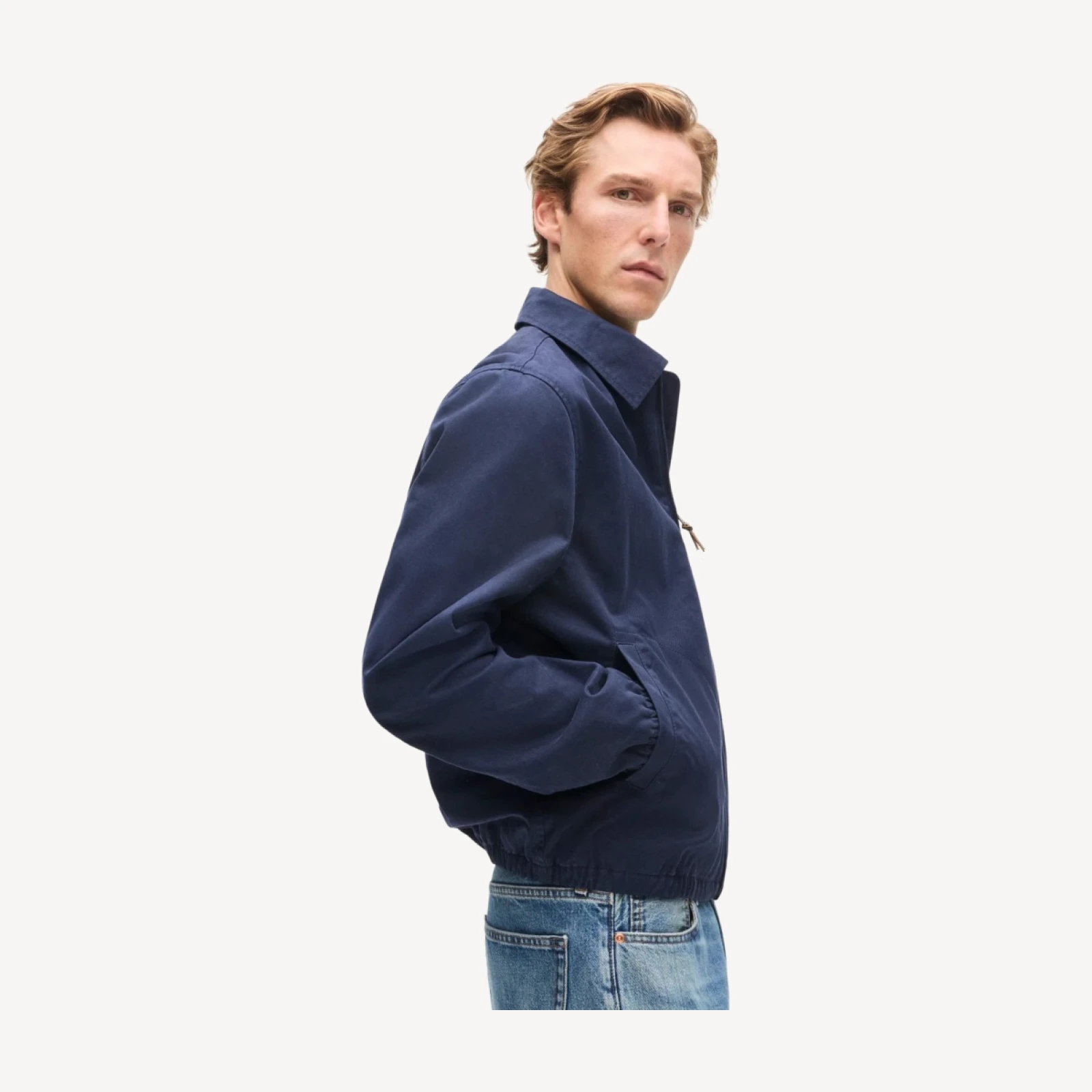 Harrington jacket in cotton twill