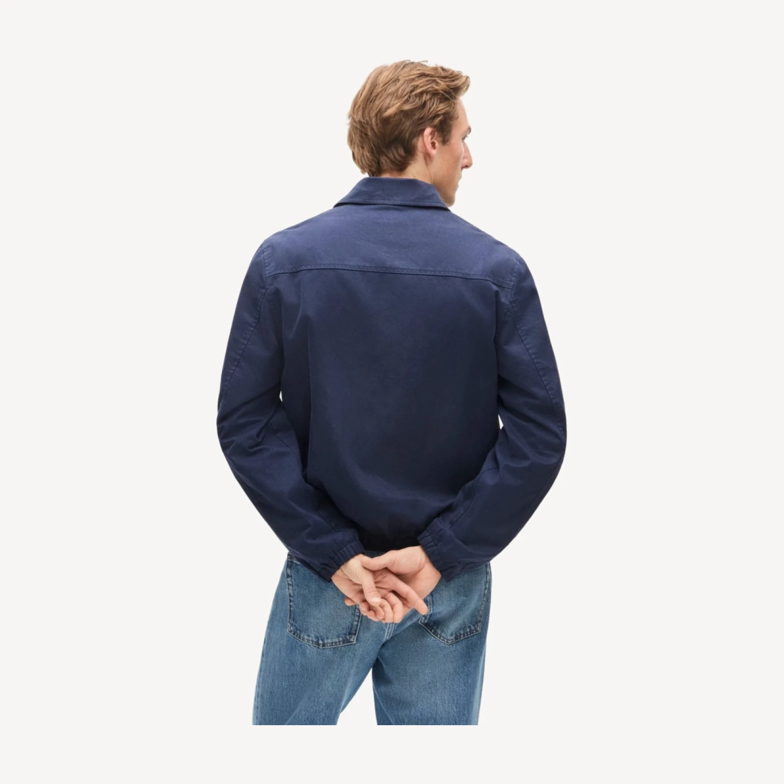 Harrington jacket in cotton twill