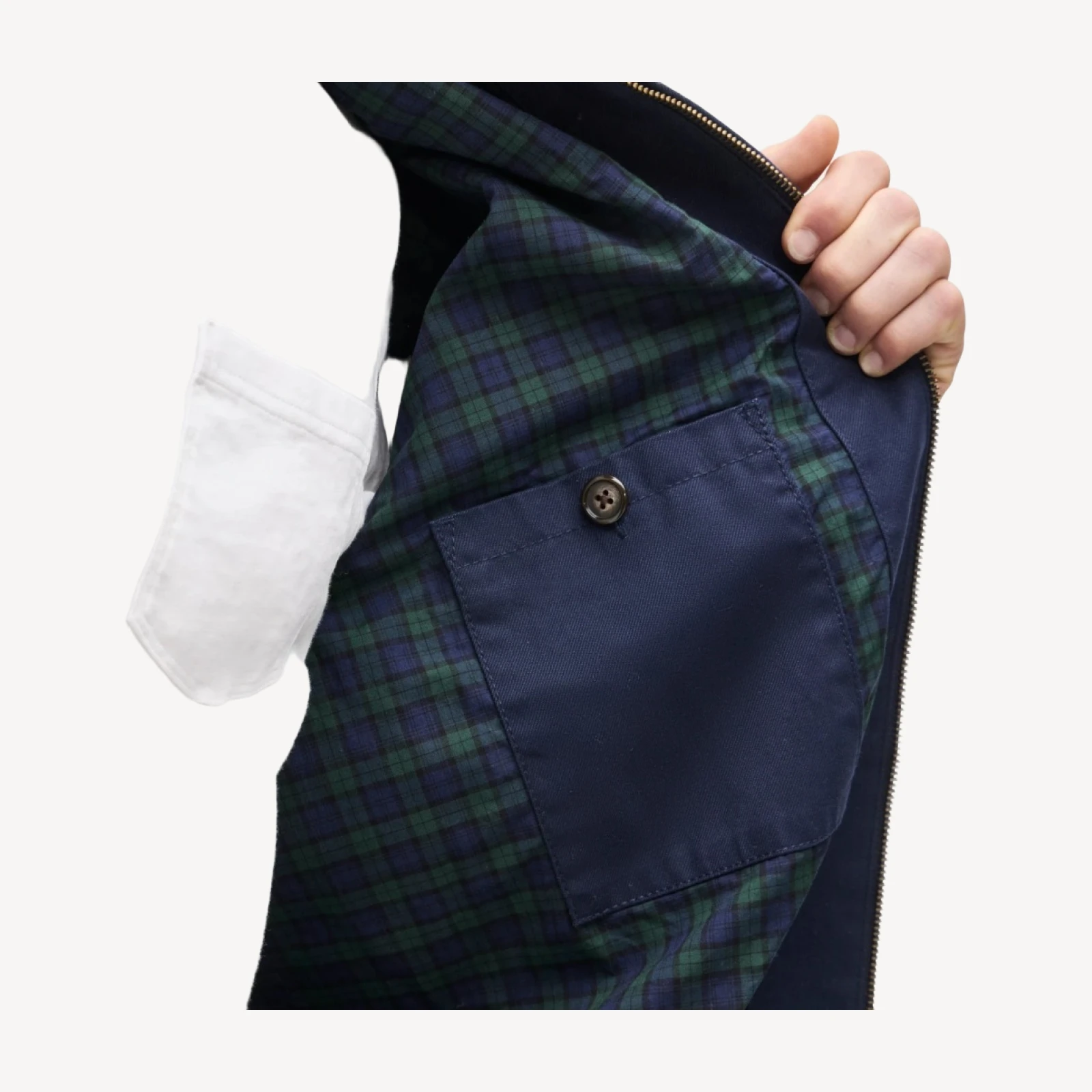 Harrington jacket in cotton twill