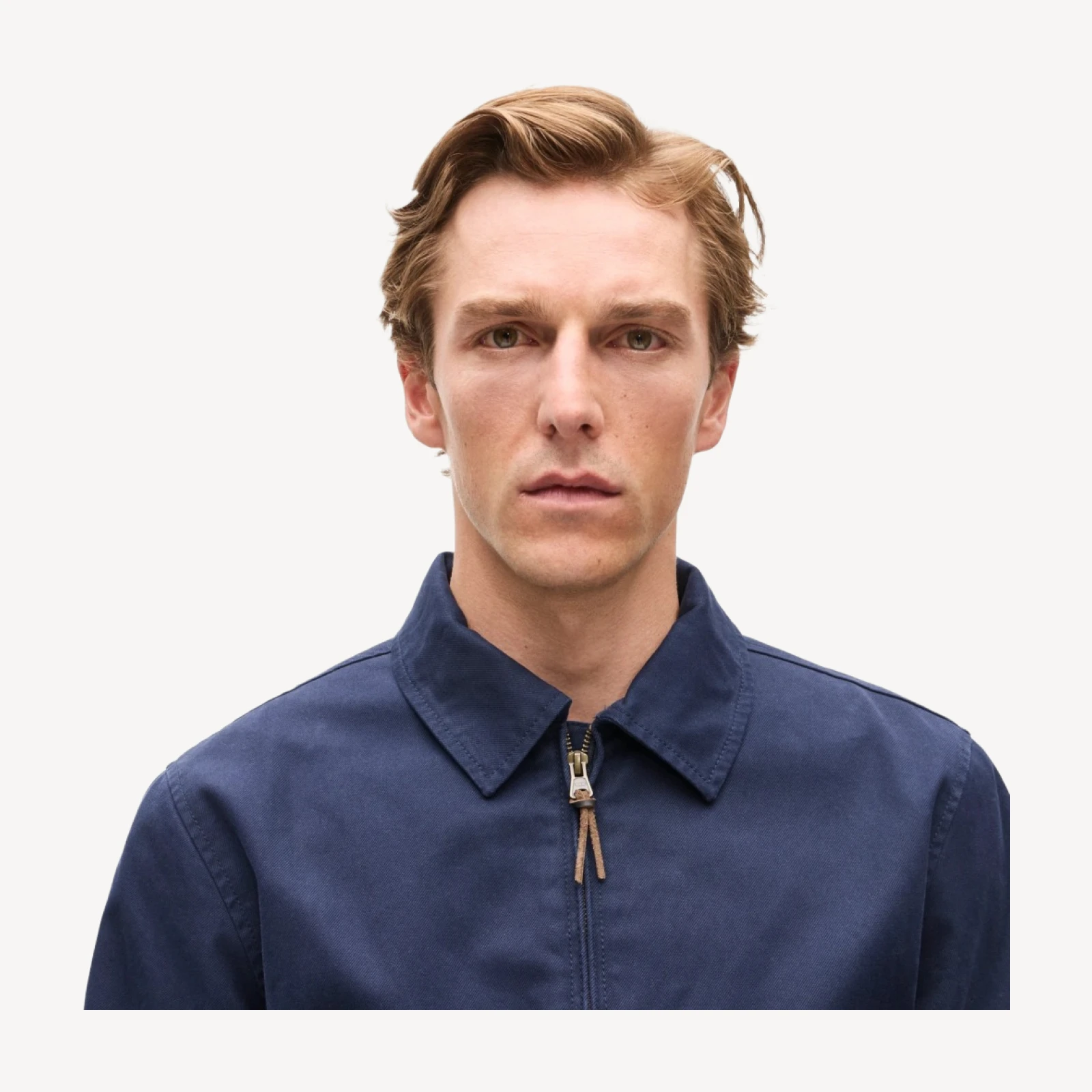 Harrington jacket in cotton twill