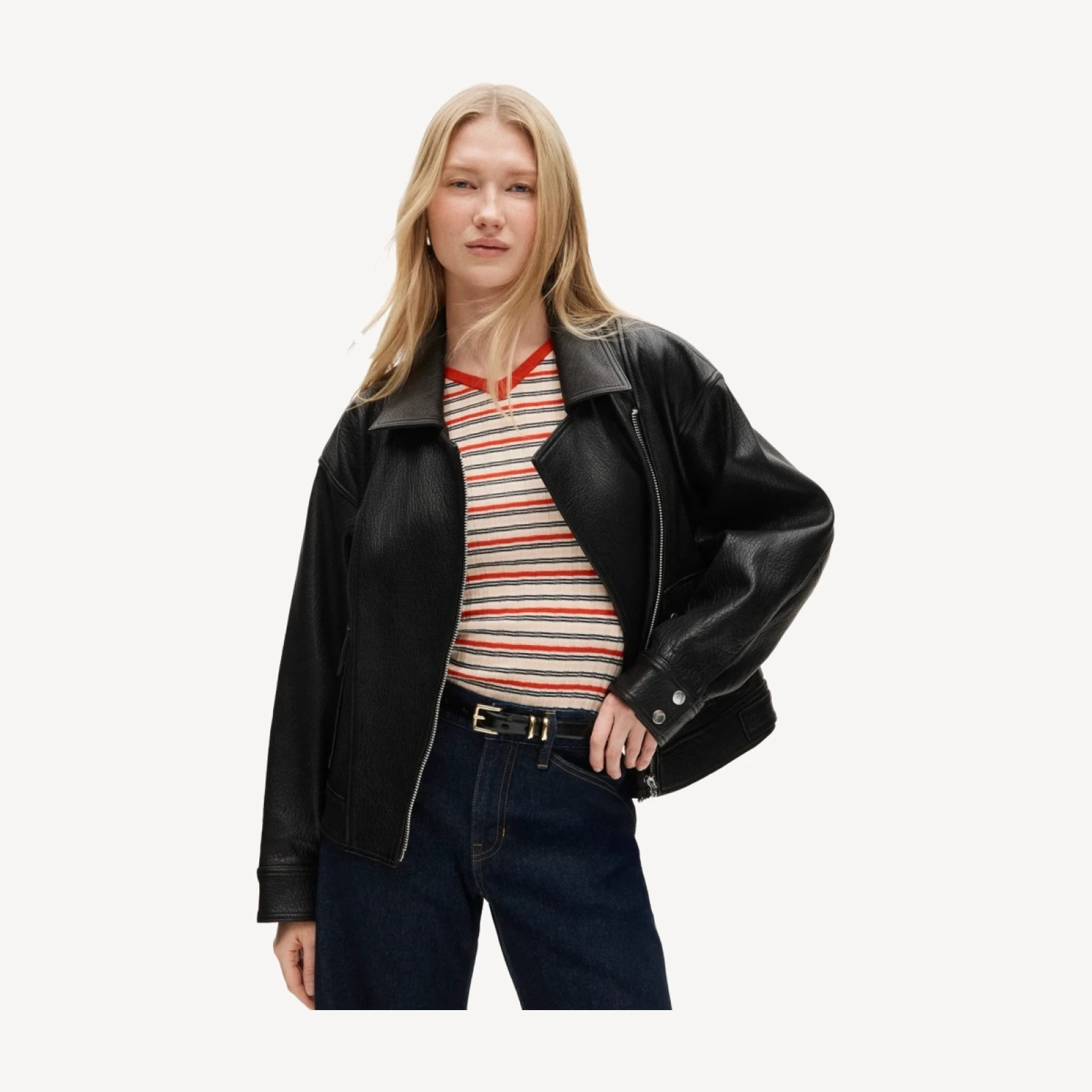 Collection leather motorcycle jacket
