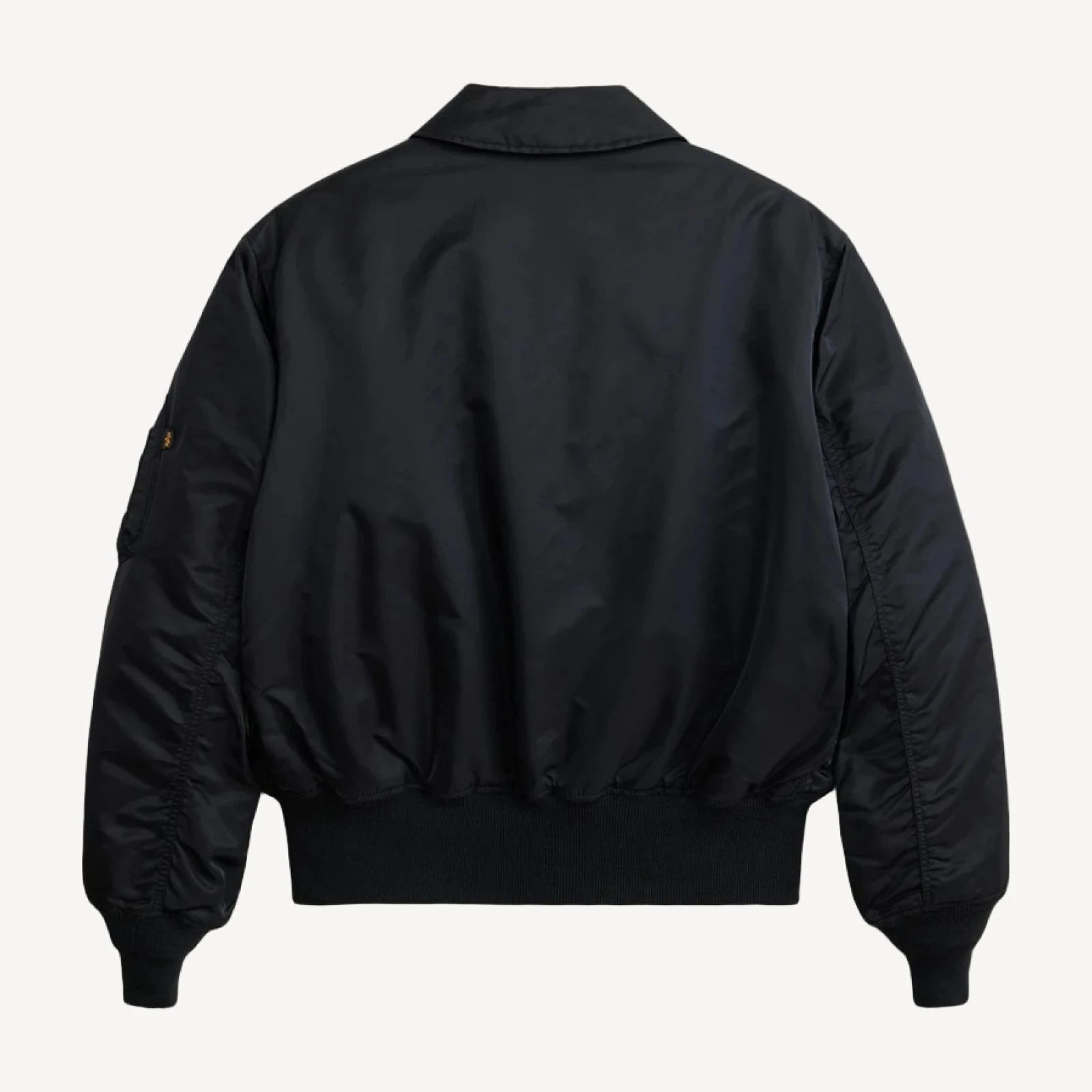 Men's Alpha Industries® CWU 45/P heritage bomber jacket