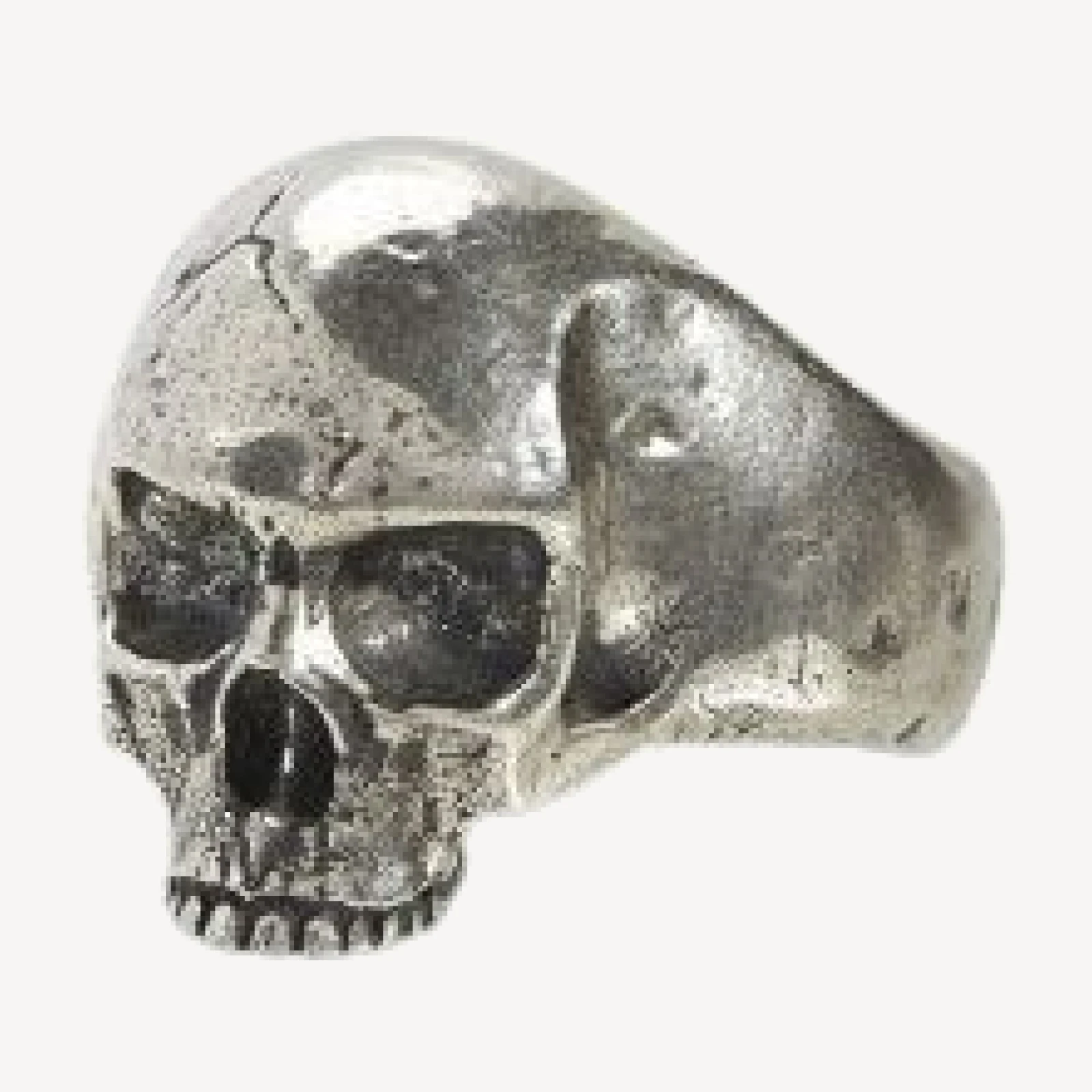 John Varvatos Collection Men's Sterling Silver Skull Statement Ring