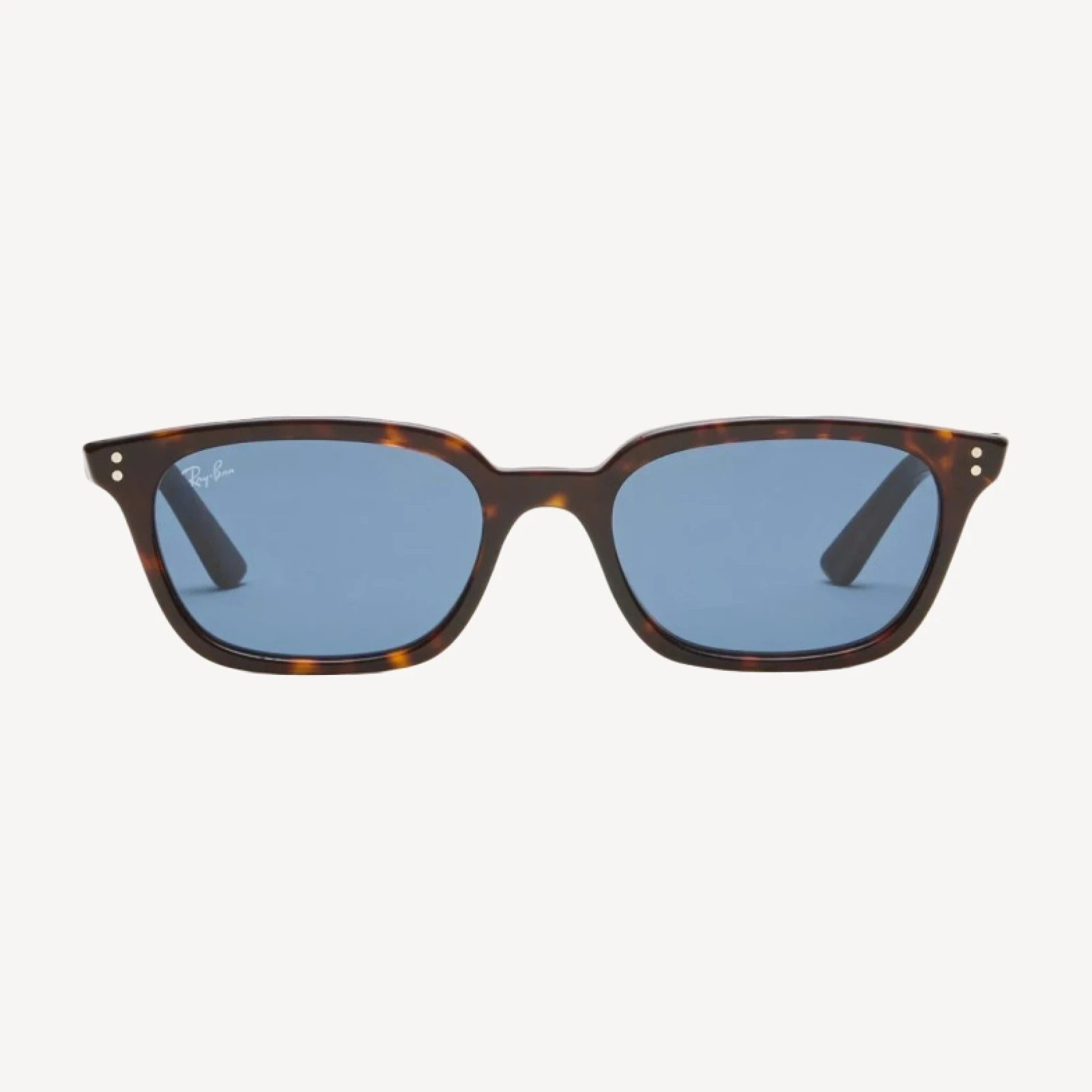 Ray-Ban® Zaya sunglasses