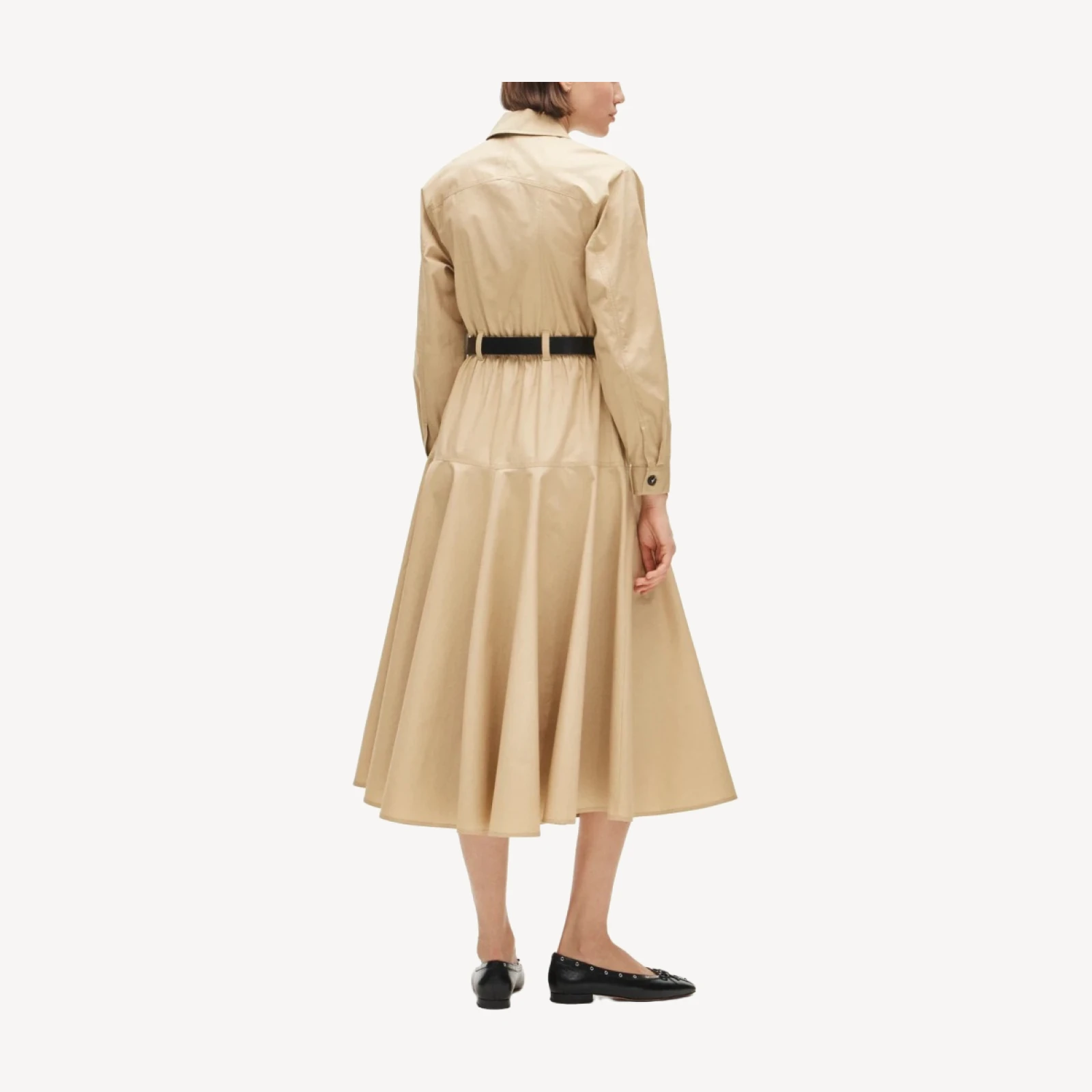 Trench shirt-dress in cotton poplin