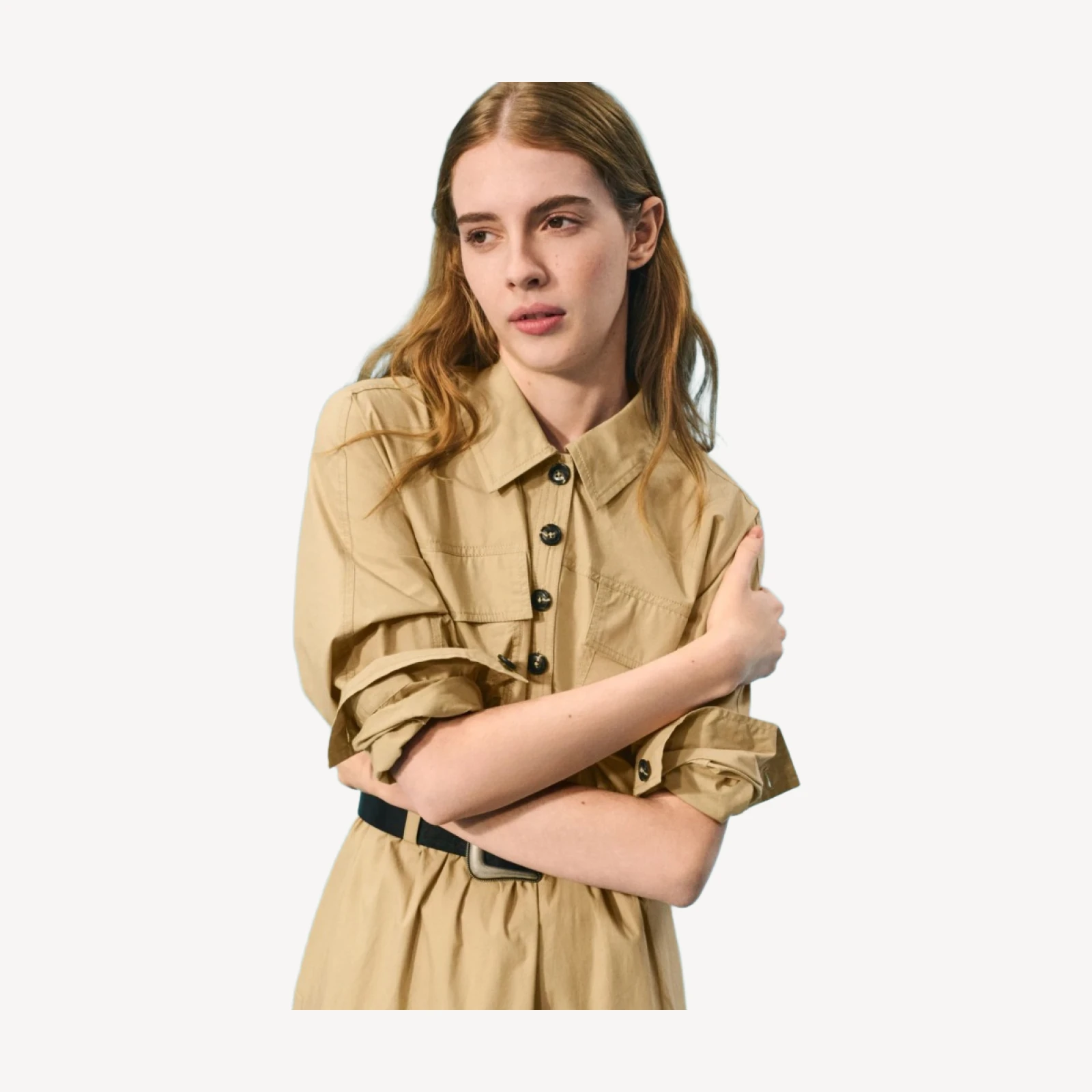 Trench shirt-dress in cotton poplin