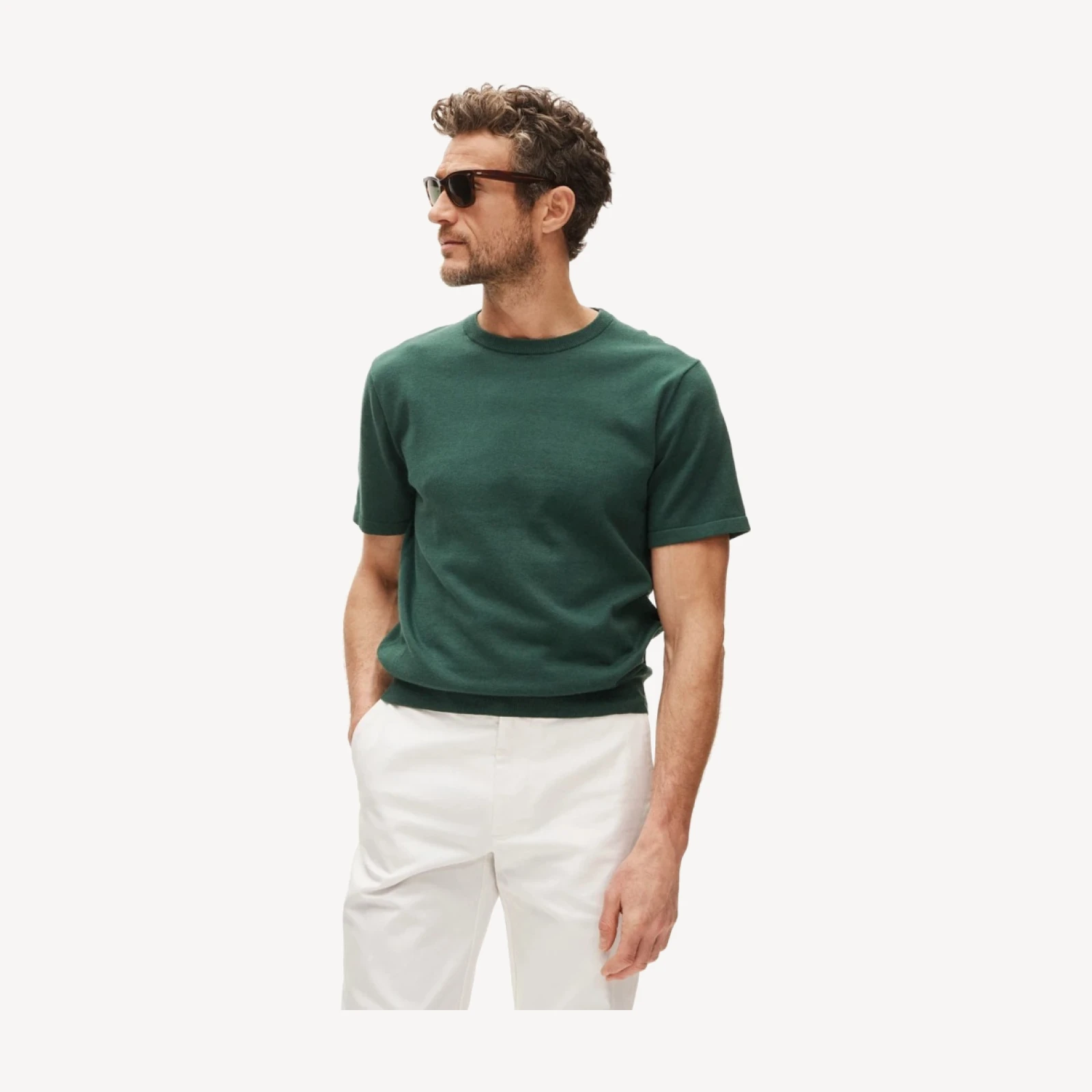 Short-sleeve crewneck sweater in Pima cotton