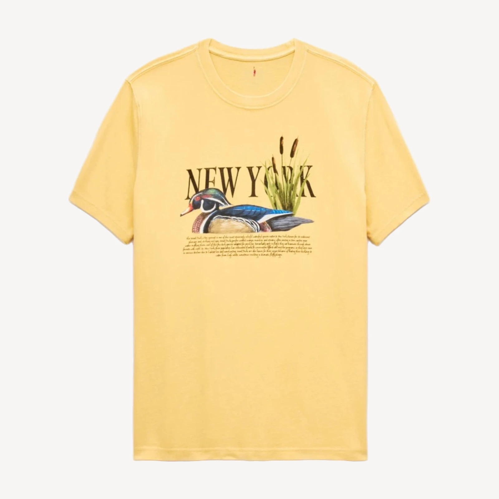 Vintage-wash cotton graphic T-shirt