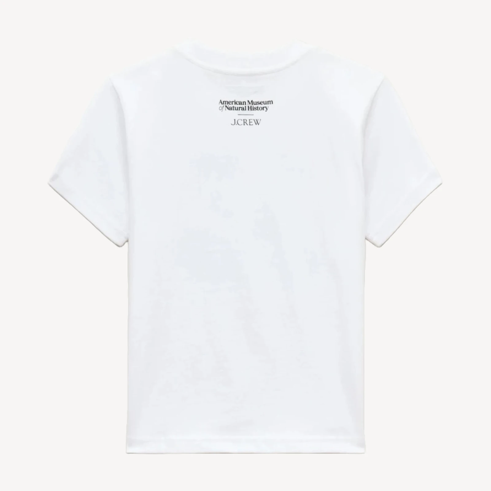 American Museum of Natural History for J.Crew kids' "dinosaur" graphic T-shirt
