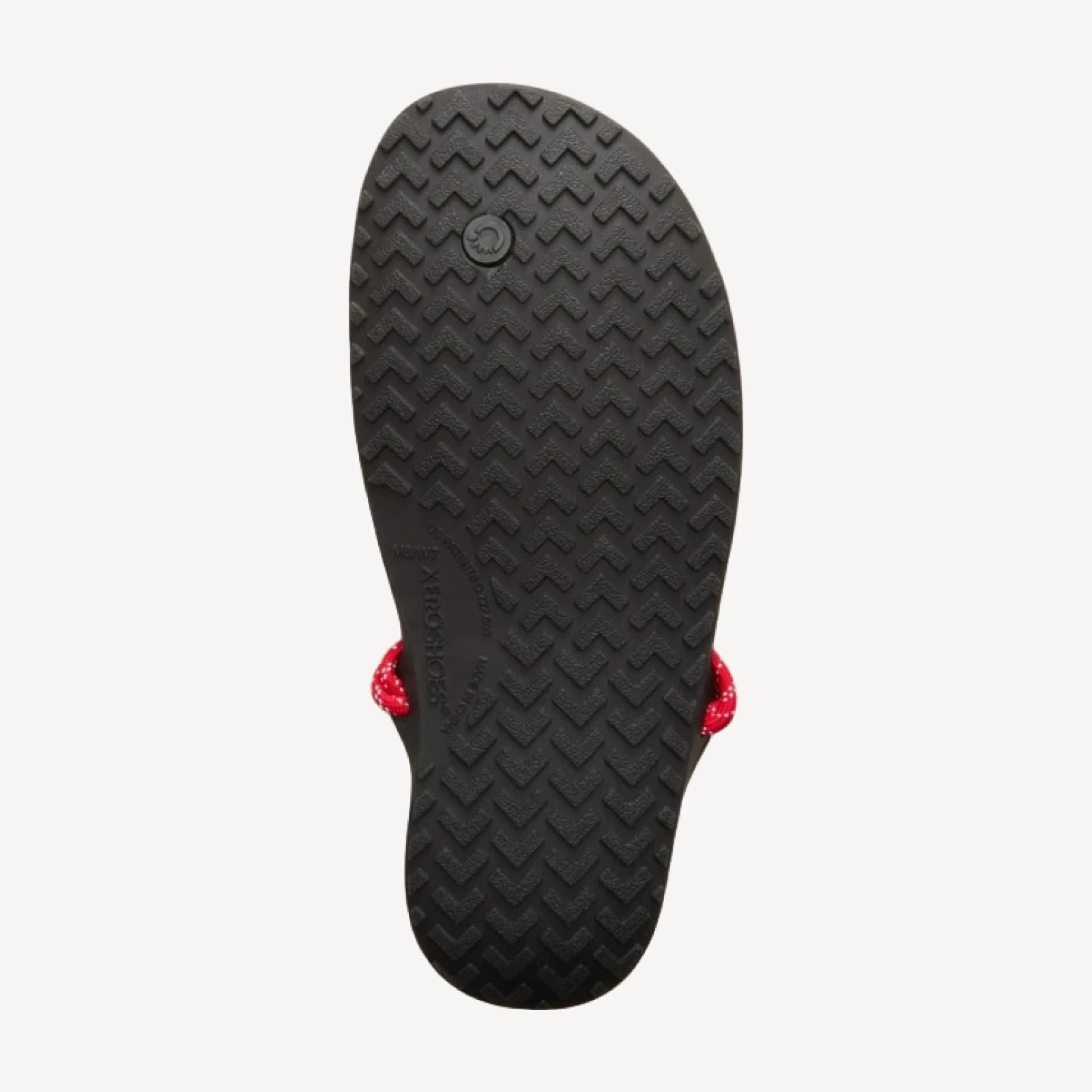 Xero Shoes® X J.Crew Genesis sandals