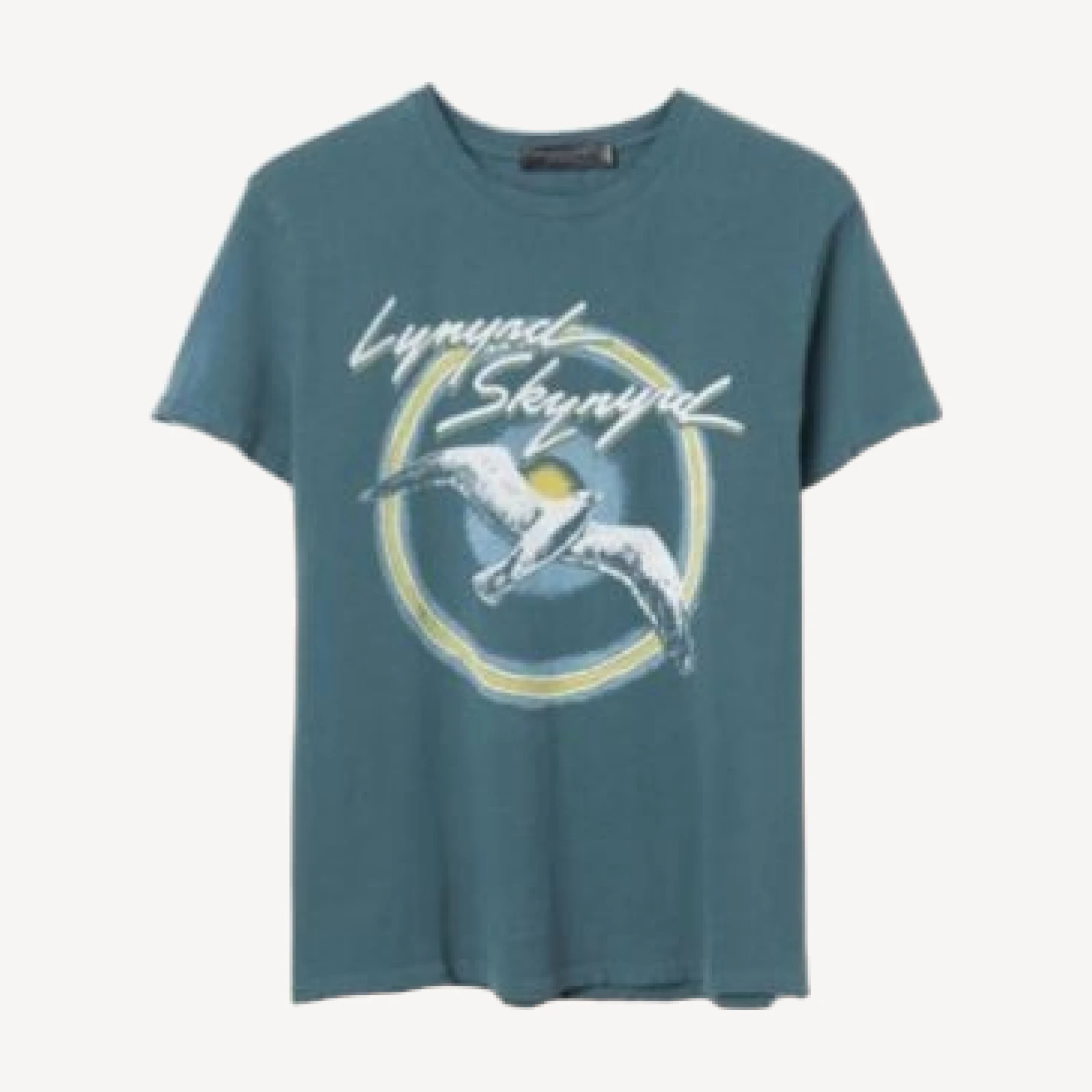 Junk Food Clothing Women's Lynyrd Skynyrd Bird Vintage Tee
