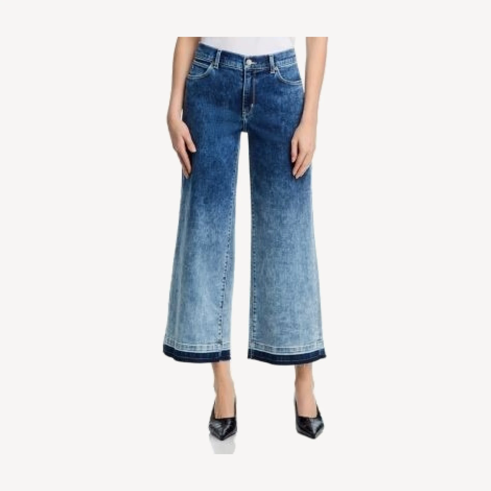 Kobi Halperin Rafaella High Rise Ankle Wide Leg Jeans in Gradient