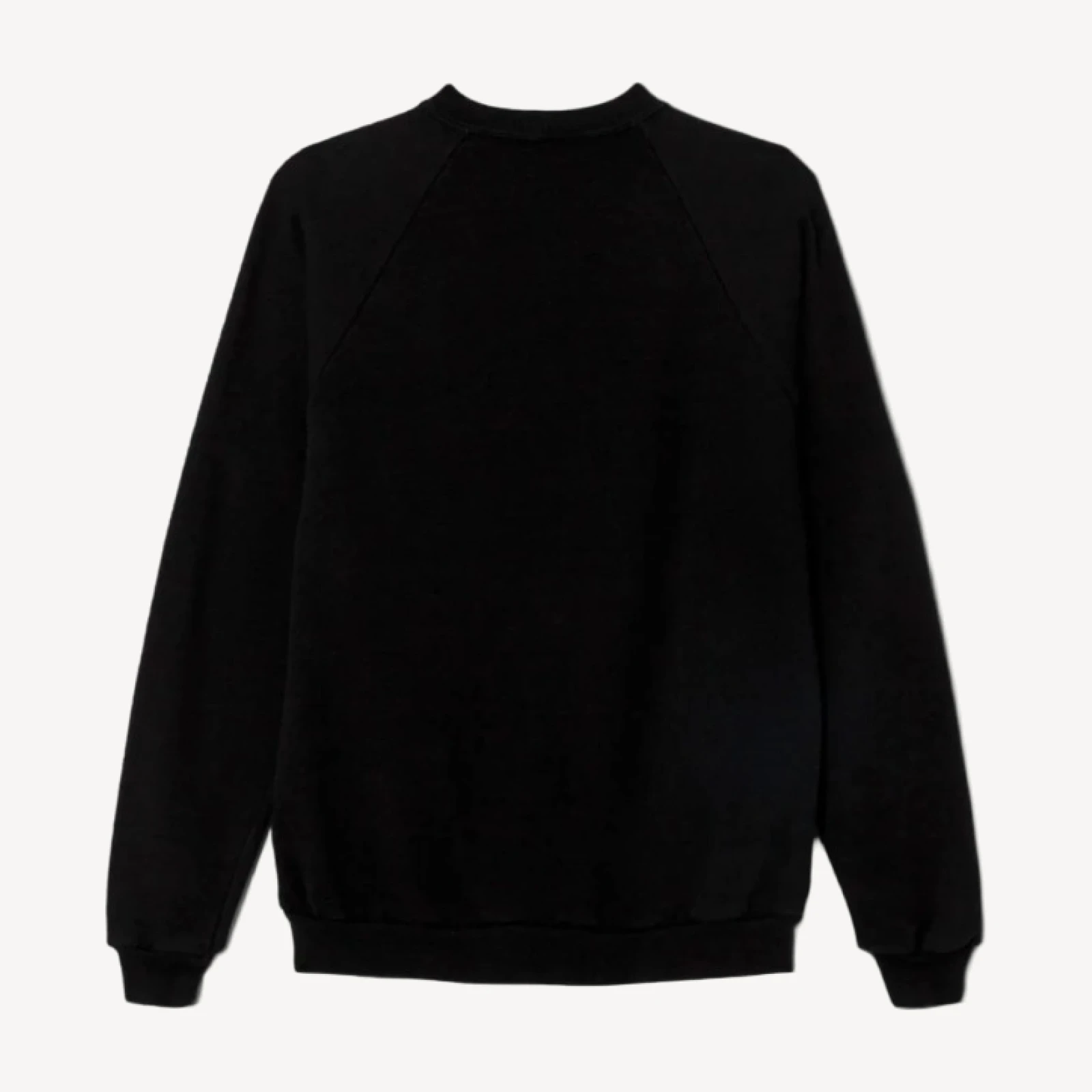 RE/DONE Vintage | 80s Butte Pirates Sweatshirt