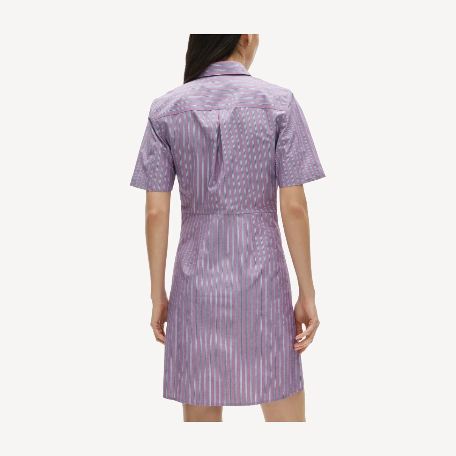 Utility shirt-dress in striped cotton poplin